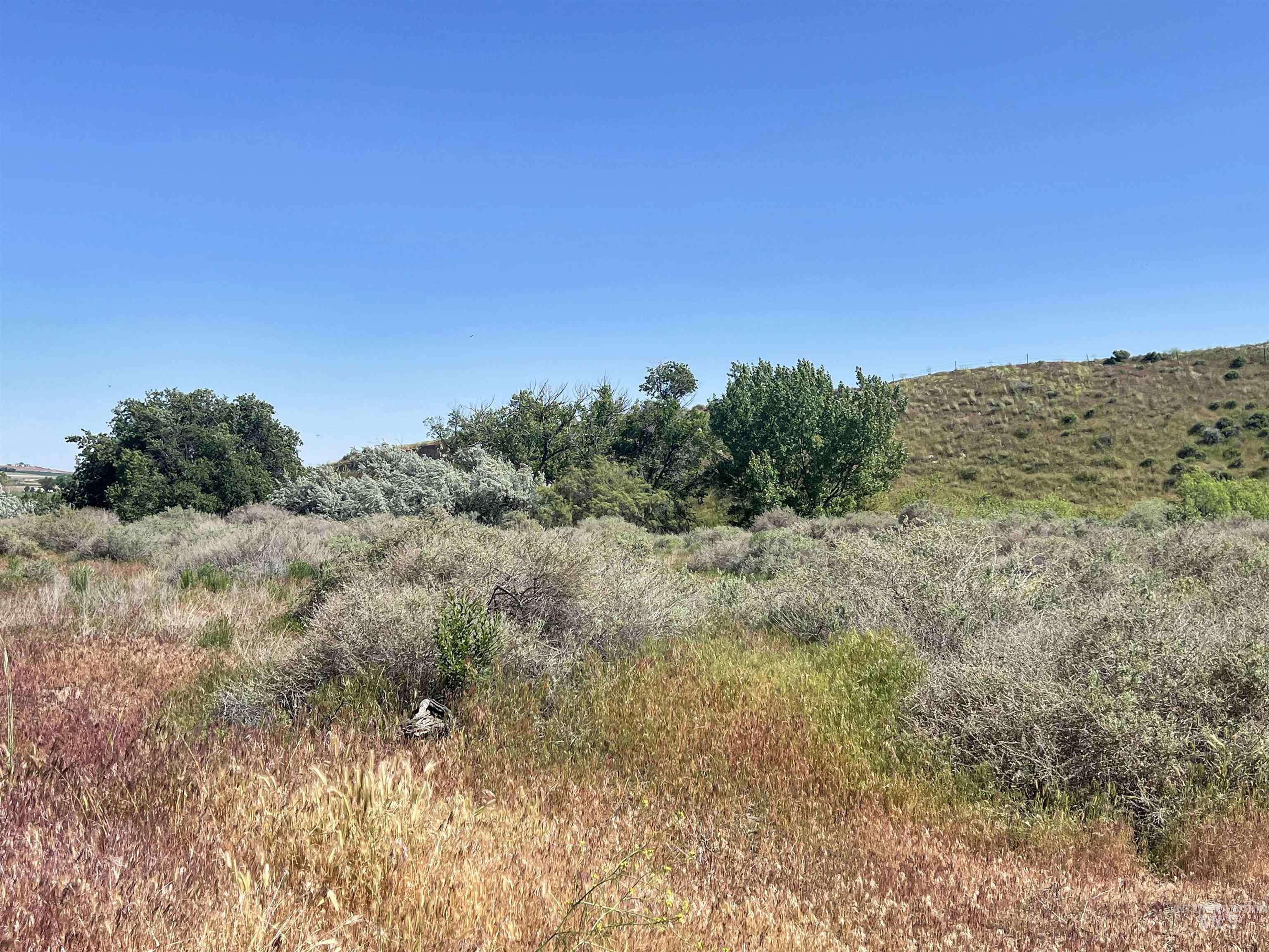 830 Snively Gulch Rd, Adrian, Oregon 97901, Farm & Ranch For Sale, Price $1,300,000, 98911672