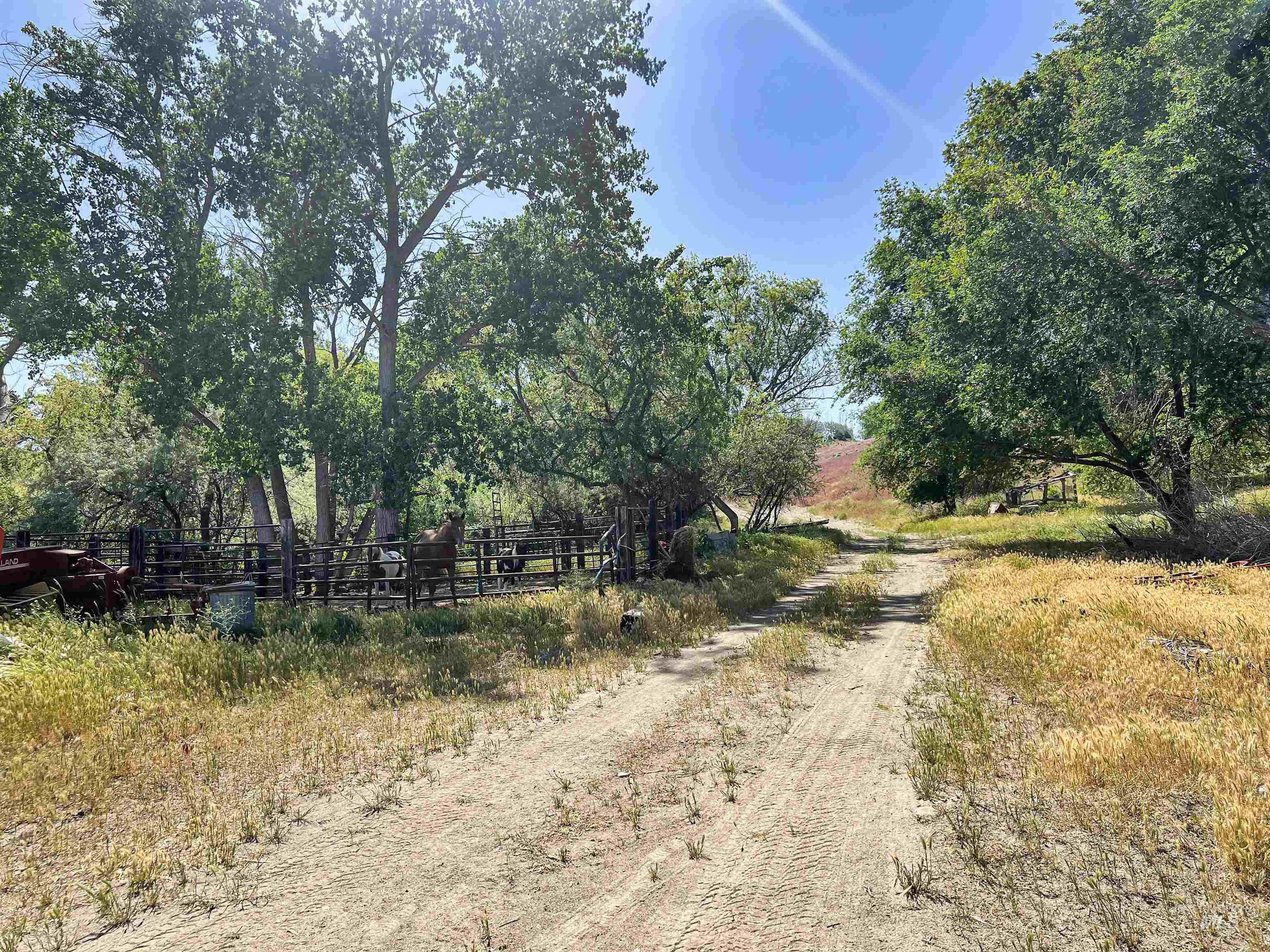 830 Snively Gulch Rd, Adrian, Oregon 97901, Farm & Ranch For Sale, Price $1,300,000, 98911672