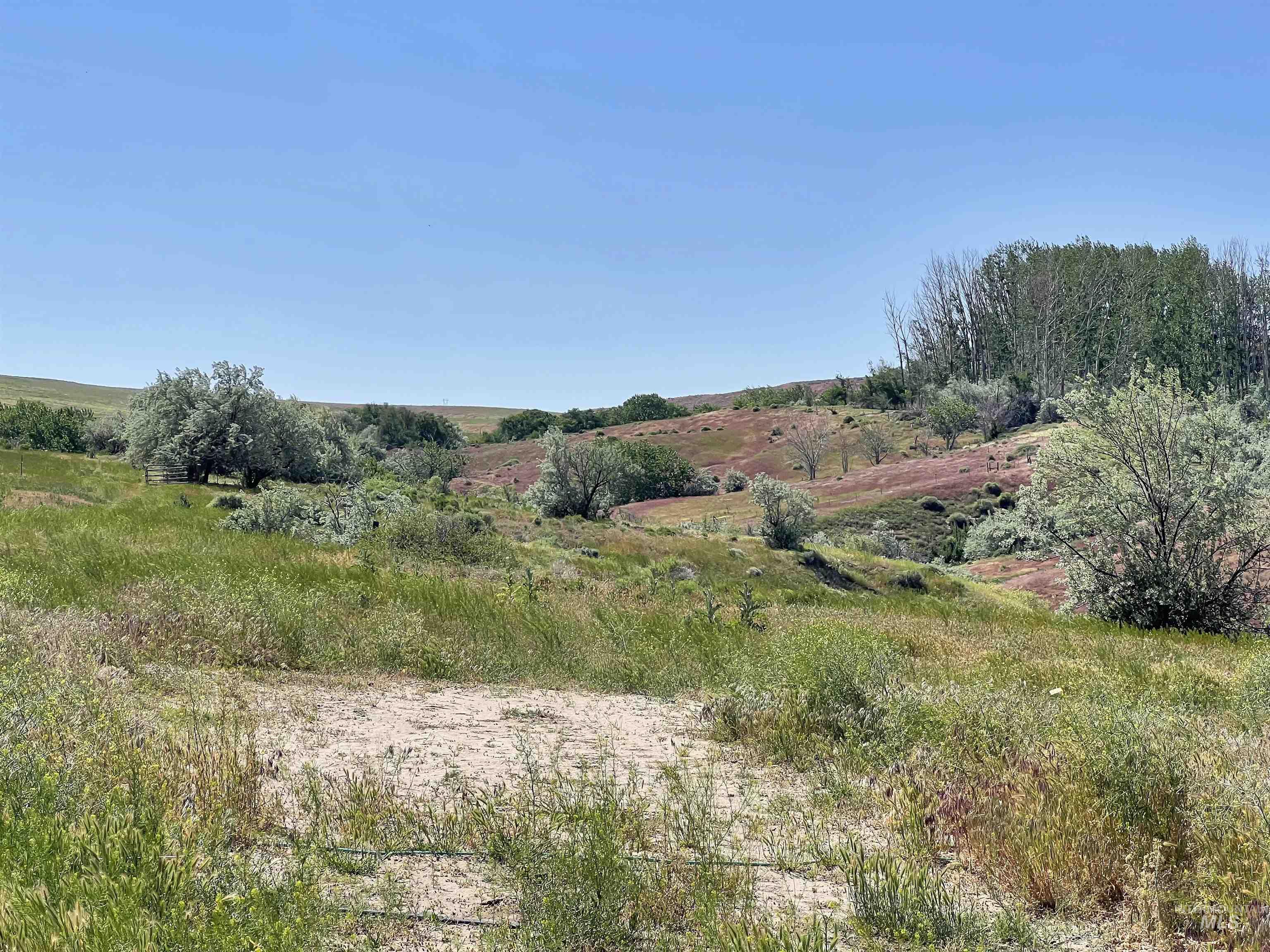 830 Snively Gulch Rd, Adrian, Oregon 97901, Farm & Ranch For Sale, Price $1,300,000, 98911672