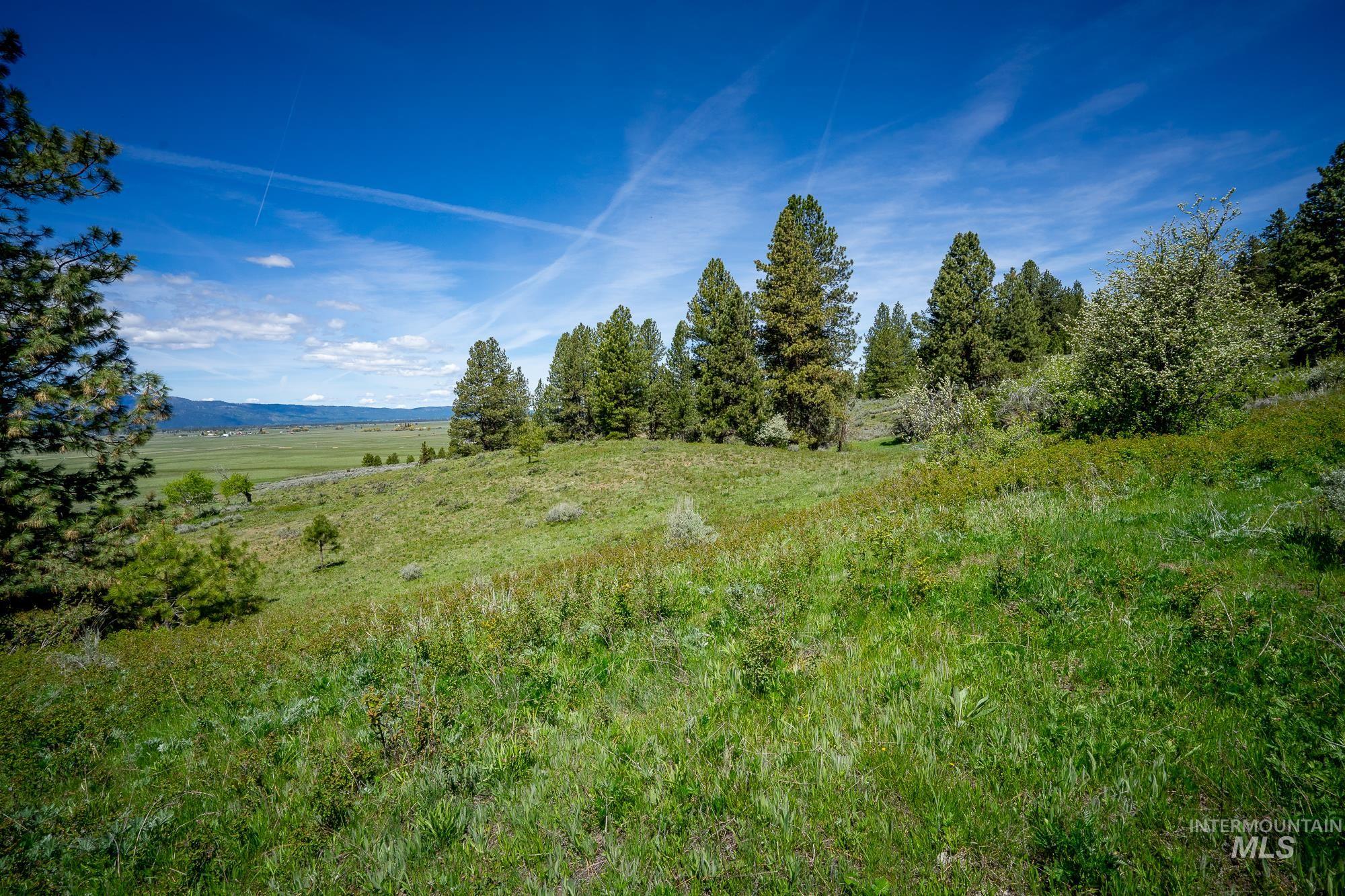 tbd Gold Fork Rd., Donnelly, Idaho 83615, Land For Sale, Price $1,750,000, 98911949