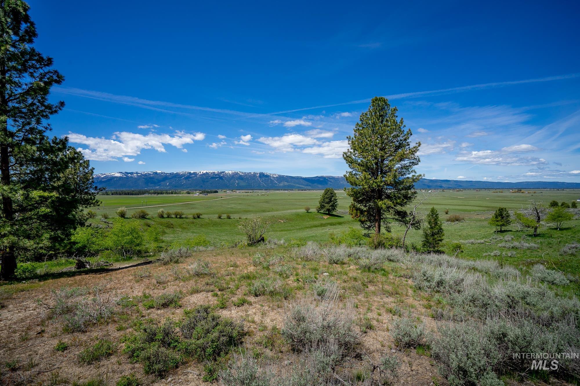tbd Gold Fork Rd., Donnelly, Idaho 83615, Land For Sale, Price $1,750,000, 98911949