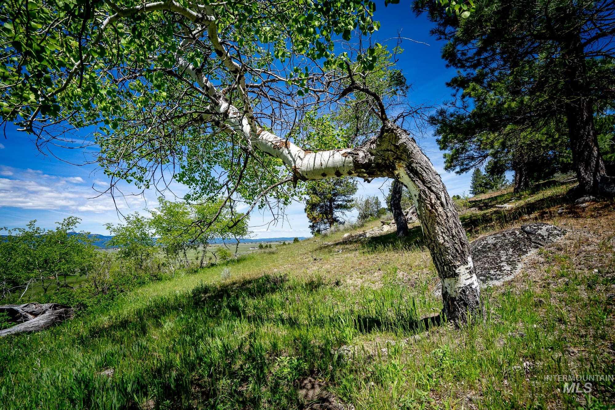 tbd Gold Fork Rd., Donnelly, Idaho 83615, Land For Sale, Price $1,750,000, 98911949
