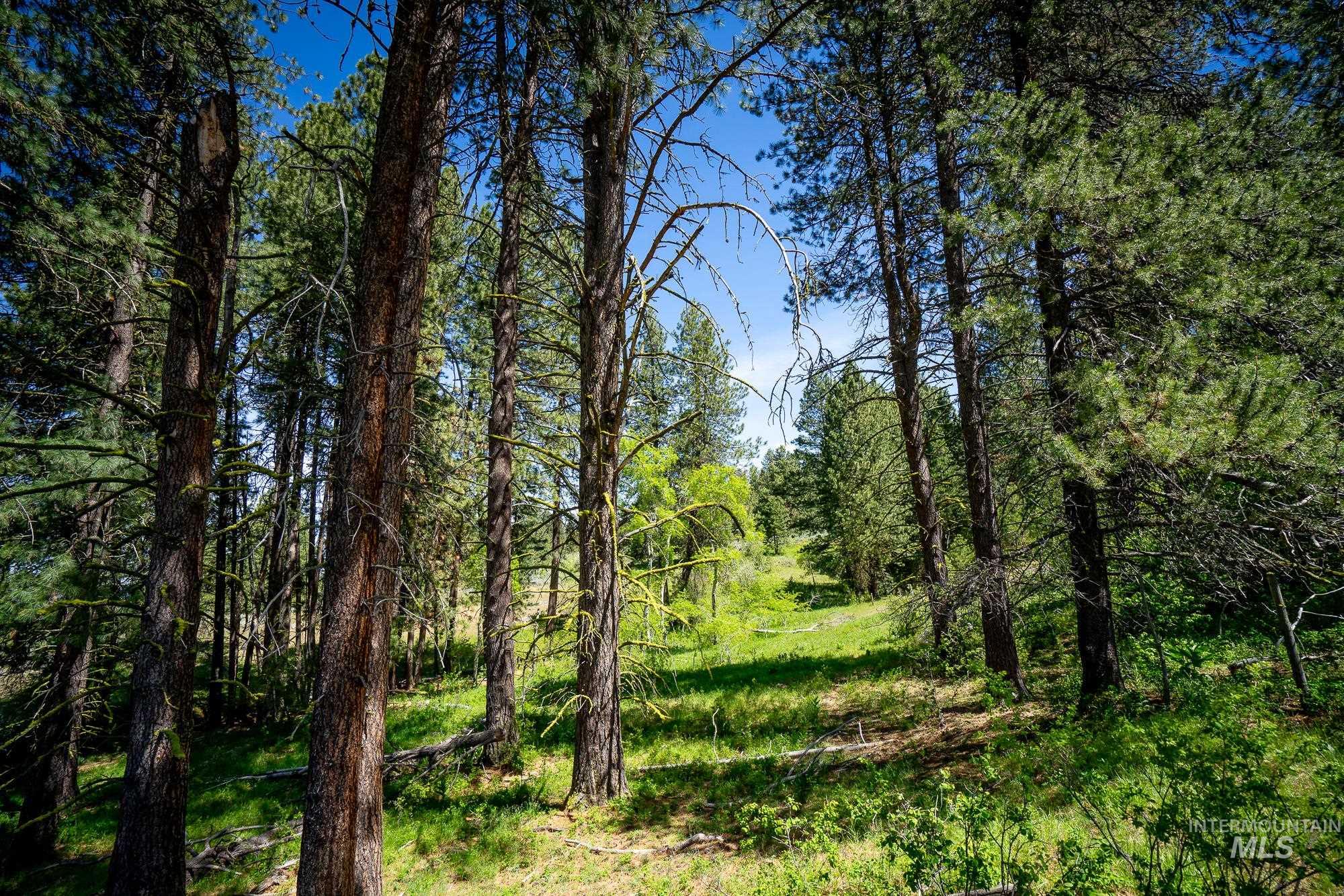 tbd Gold Fork Rd., Donnelly, Idaho 83615, Land For Sale, Price $1,750,000, 98911949