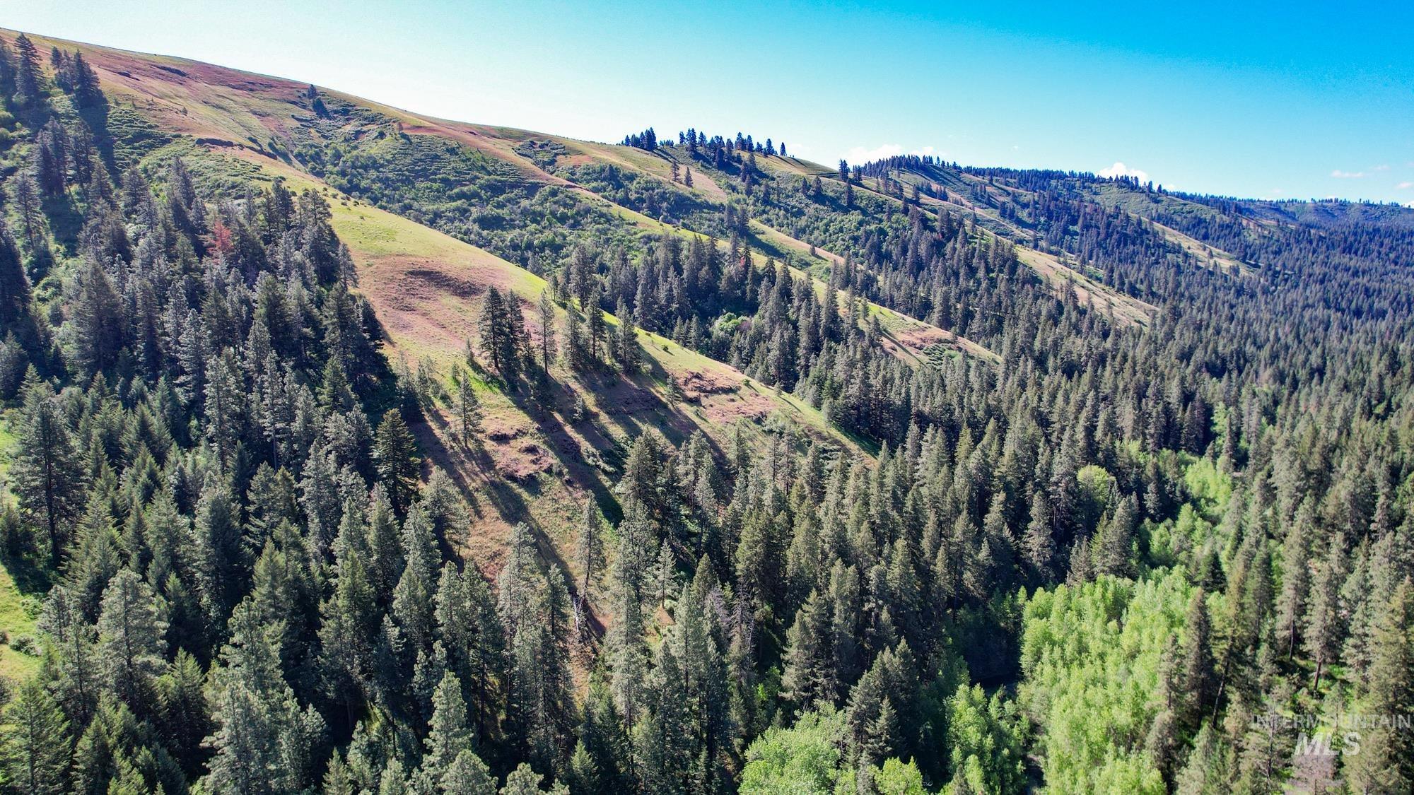 332 Wolf Fork Rd, Dayton, Washington 99328, Farm & Ranch For Sale, Price $3,417,000, 98911969