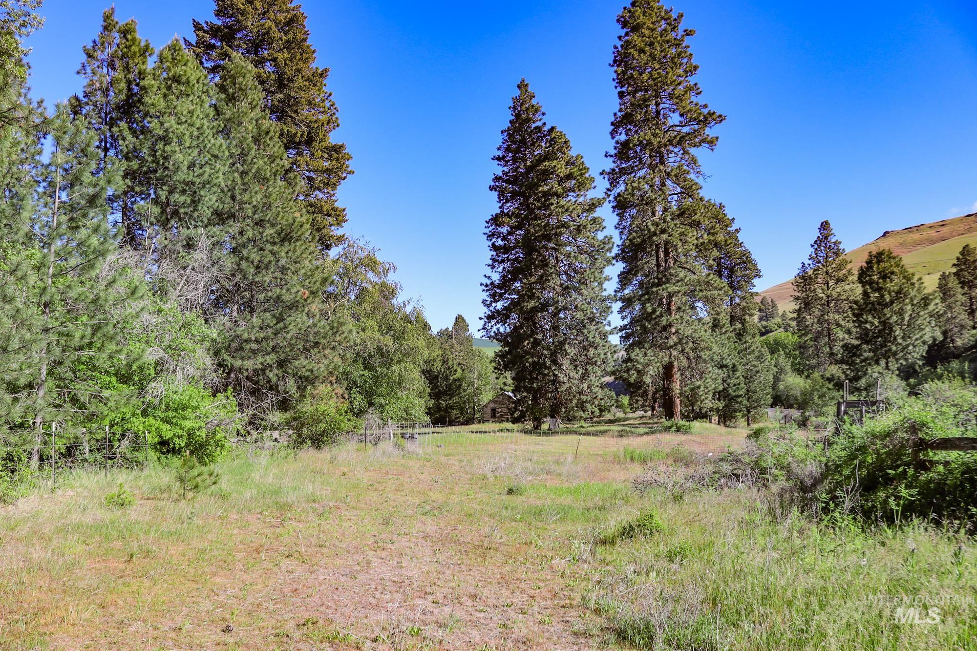 332 Wolf Fork Rd, Dayton, Washington 99328, Farm & Ranch For Sale, Price $3,417,000, 98911969