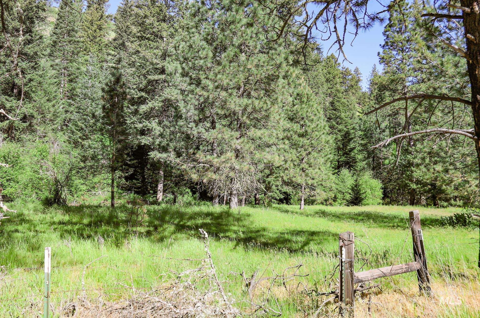 332 Wolf Fork Rd, Dayton, Washington 99328, Farm & Ranch For Sale, Price $3,417,000, 98911969
