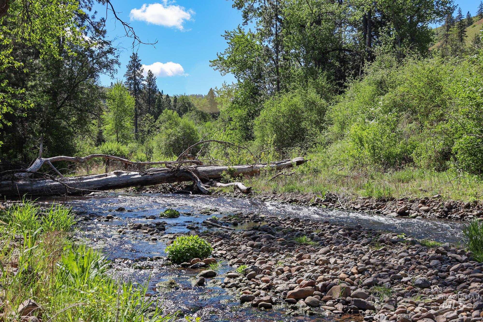 332 Wolf Fork Rd, Dayton, Washington 99328, Farm & Ranch For Sale, Price $3,417,000, 98911969