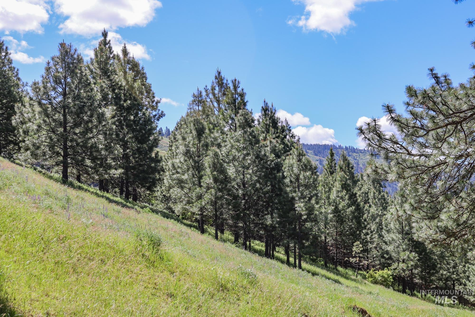 332 Wolf Fork Rd, Dayton, Washington 99328, Farm & Ranch For Sale, Price $3,417,000, 98911969