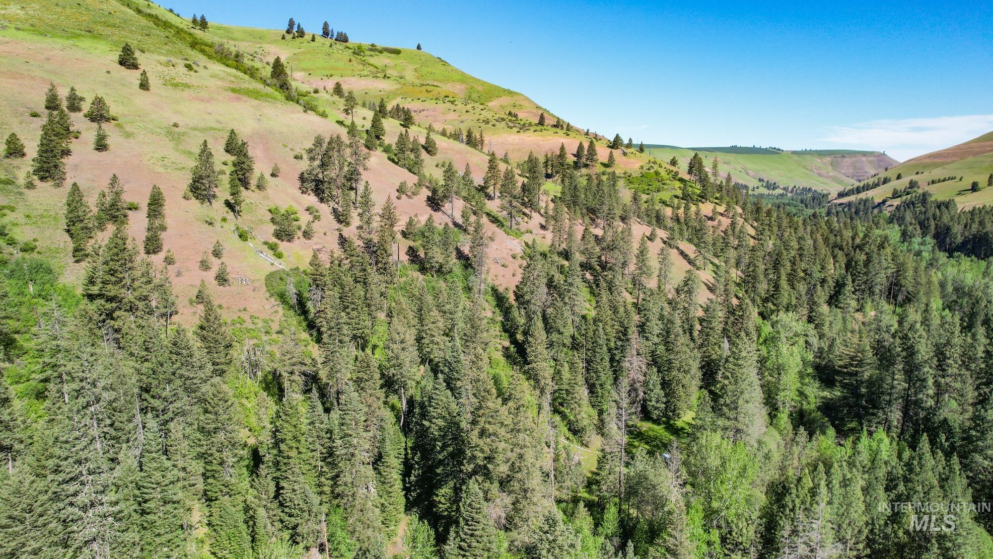 332 Wolf Fork Rd, Dayton, Washington 99328, Farm & Ranch For Sale, Price $3,417,000, 98911969
