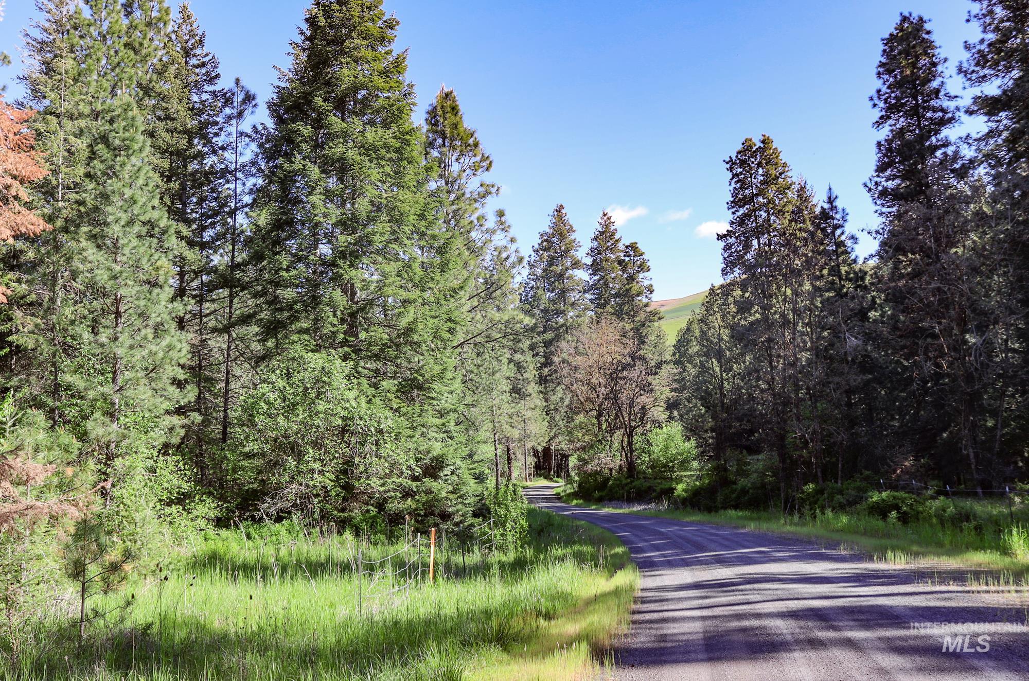 332 Wolf Fork Rd, Dayton, Washington 99328, Farm & Ranch For Sale, Price $3,417,000, 98911969