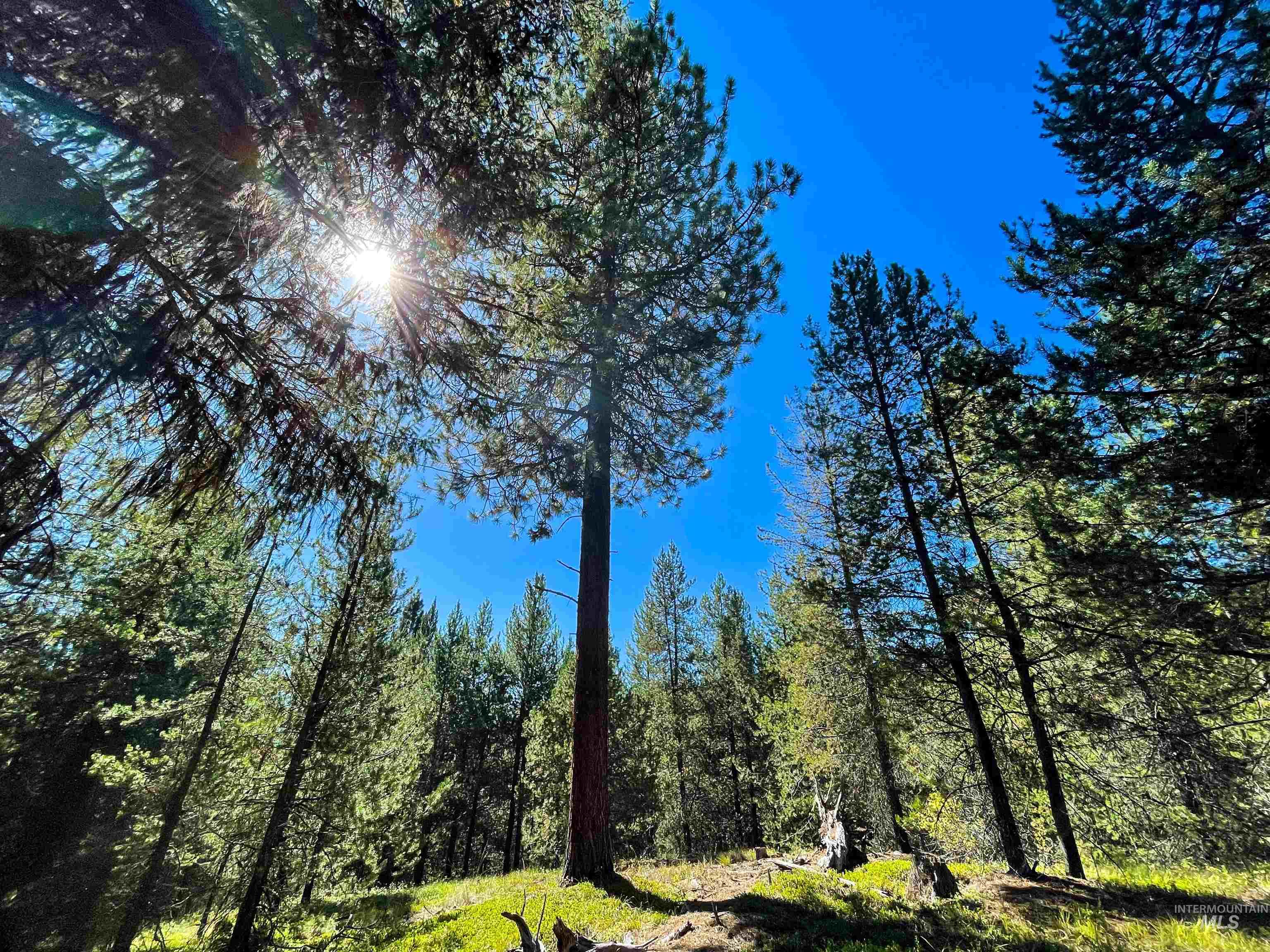 TBD 1-1 Horsethief Road, Cascade, Idaho 83611, Land For Sale, Price $748,230,MLS 98912249