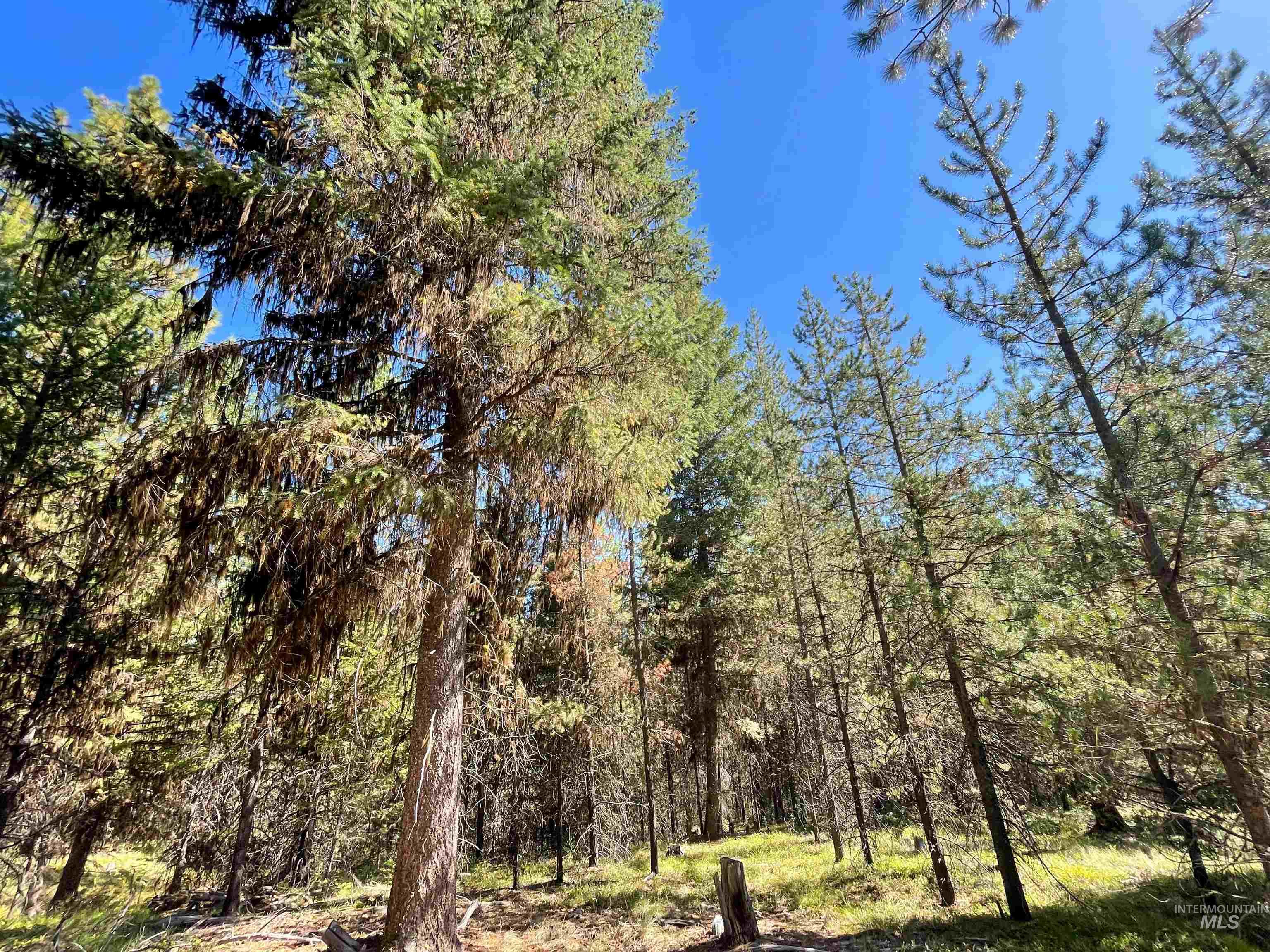 TBD 1-1 Horsethief Road, Cascade, Idaho 83611, Land For Sale, Price $748,230,MLS 98912249