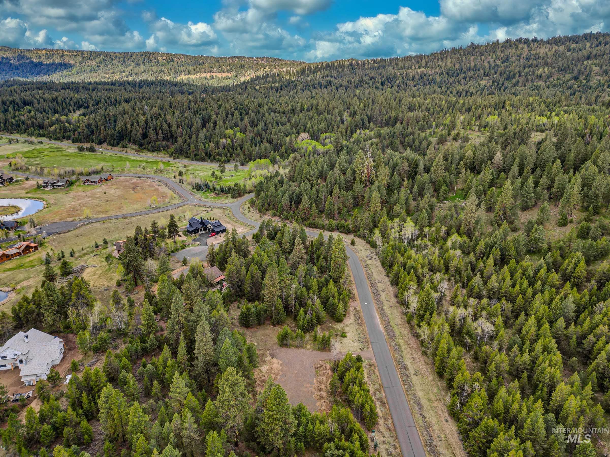 114 Fawnlilly Dr, McCall, Idaho 83638, Land For Sale, Price $239,000,MLS 98912374