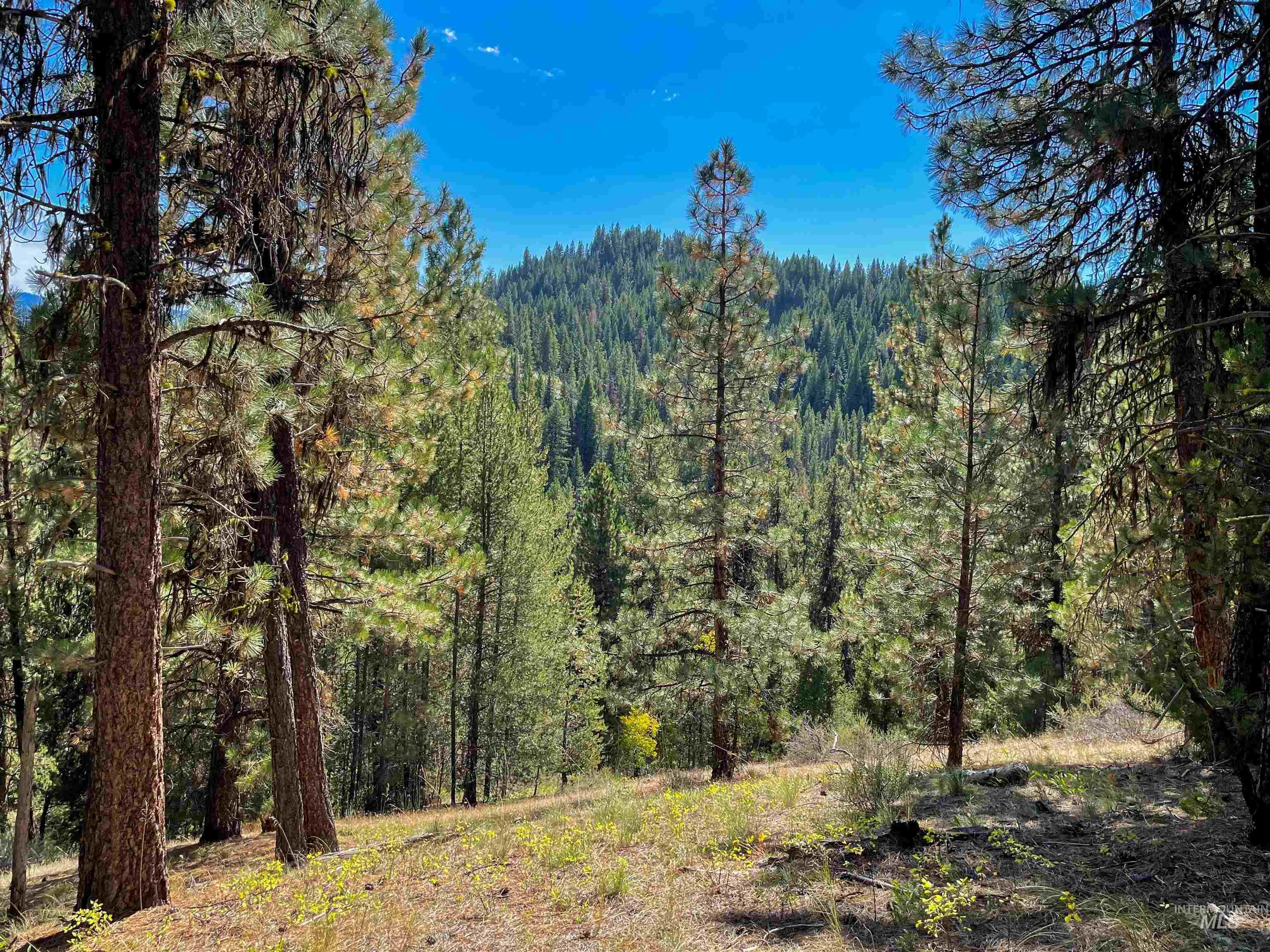 TBD 1-2 Horesthief Road, Cascade, Idaho 83611, Land For Sale, Price $342,335, 98912396