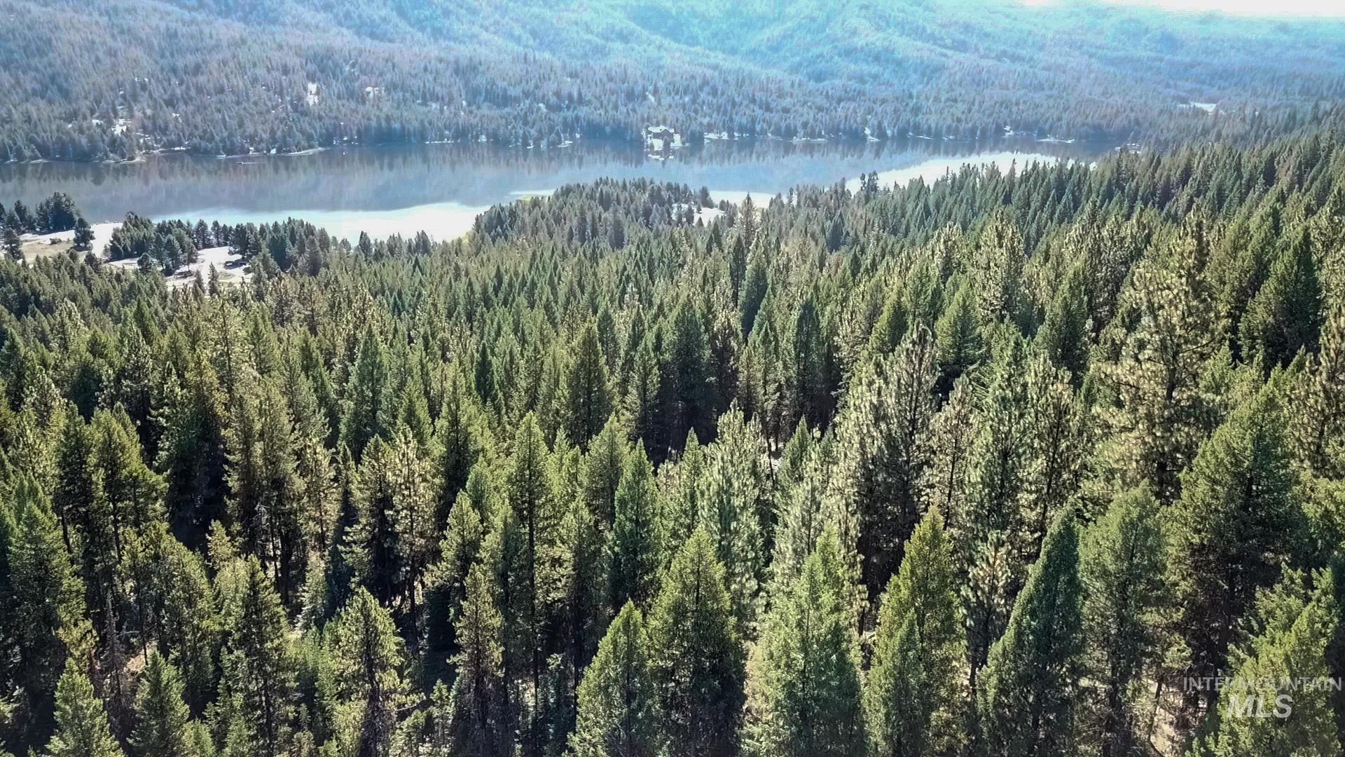 TBD 1-2 Horesthief Road, Cascade, Idaho 83611, Land For Sale, Price $342,335, 98912396