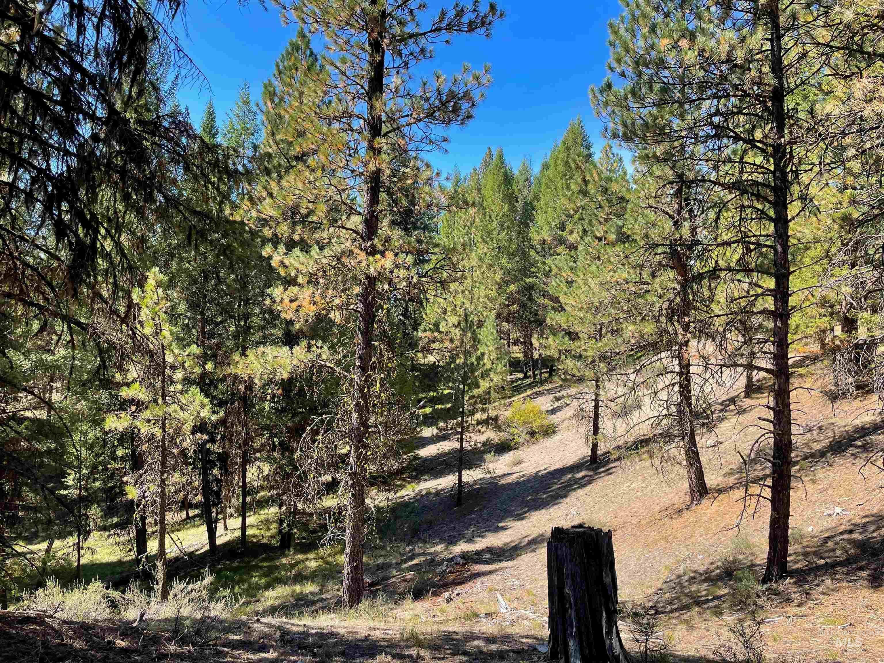 TBD 1-2 Horesthief Road, Cascade, Idaho 83611, Land For Sale, Price $342,335, 98912396