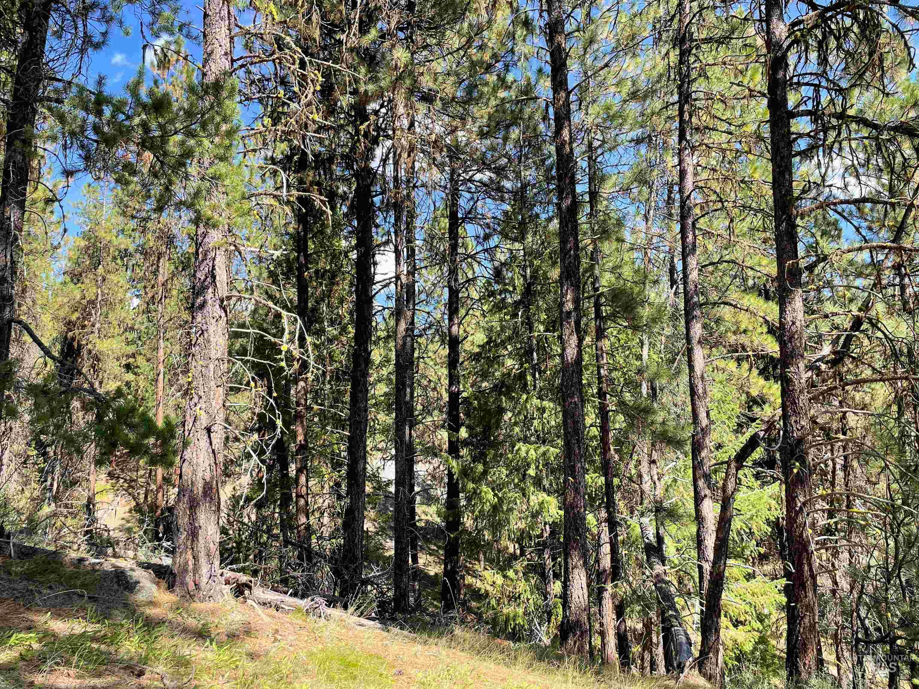 TBD 1-2 Horesthief Road, Cascade, Idaho 83611, Land For Sale, Price $342,335, 98912396