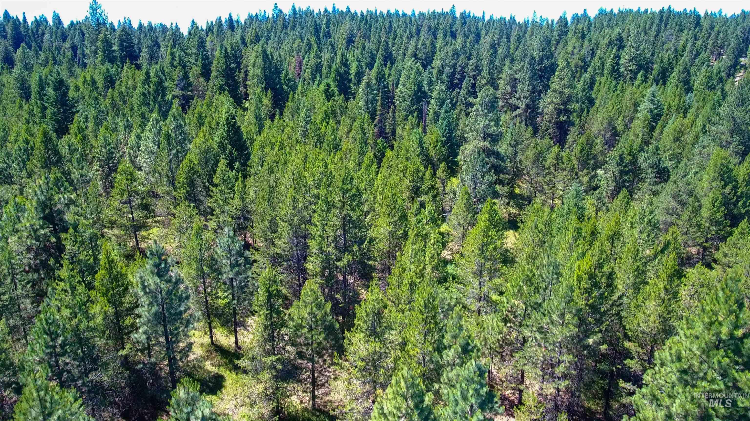 TBD 1-2 Horesthief Road, Cascade, Idaho 83611, Land For Sale, Price $342,335, 98912396