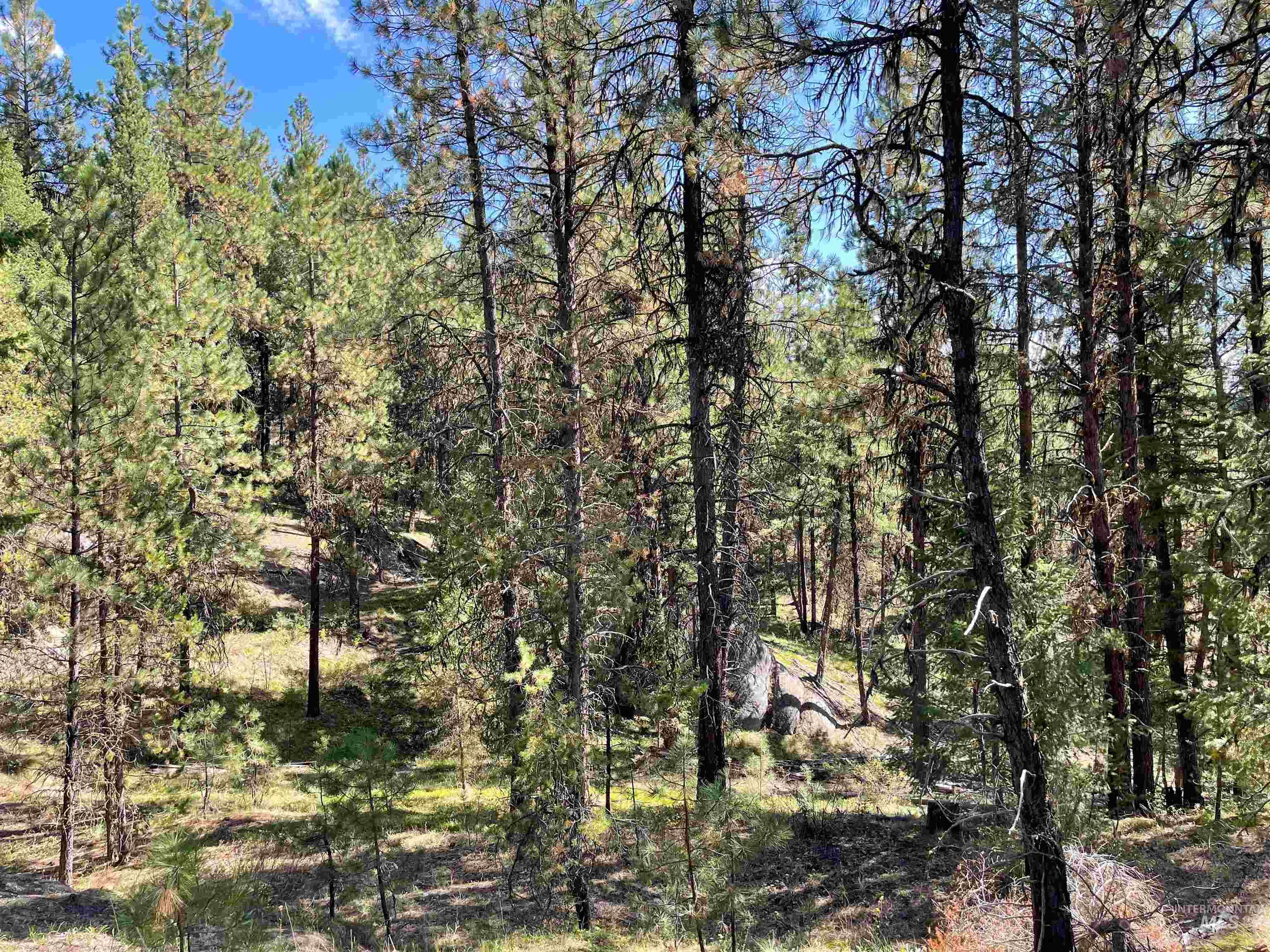 TBD 1-2 Horesthief Road, Cascade, Idaho 83611, Land For Sale, Price $342,335, 98912396