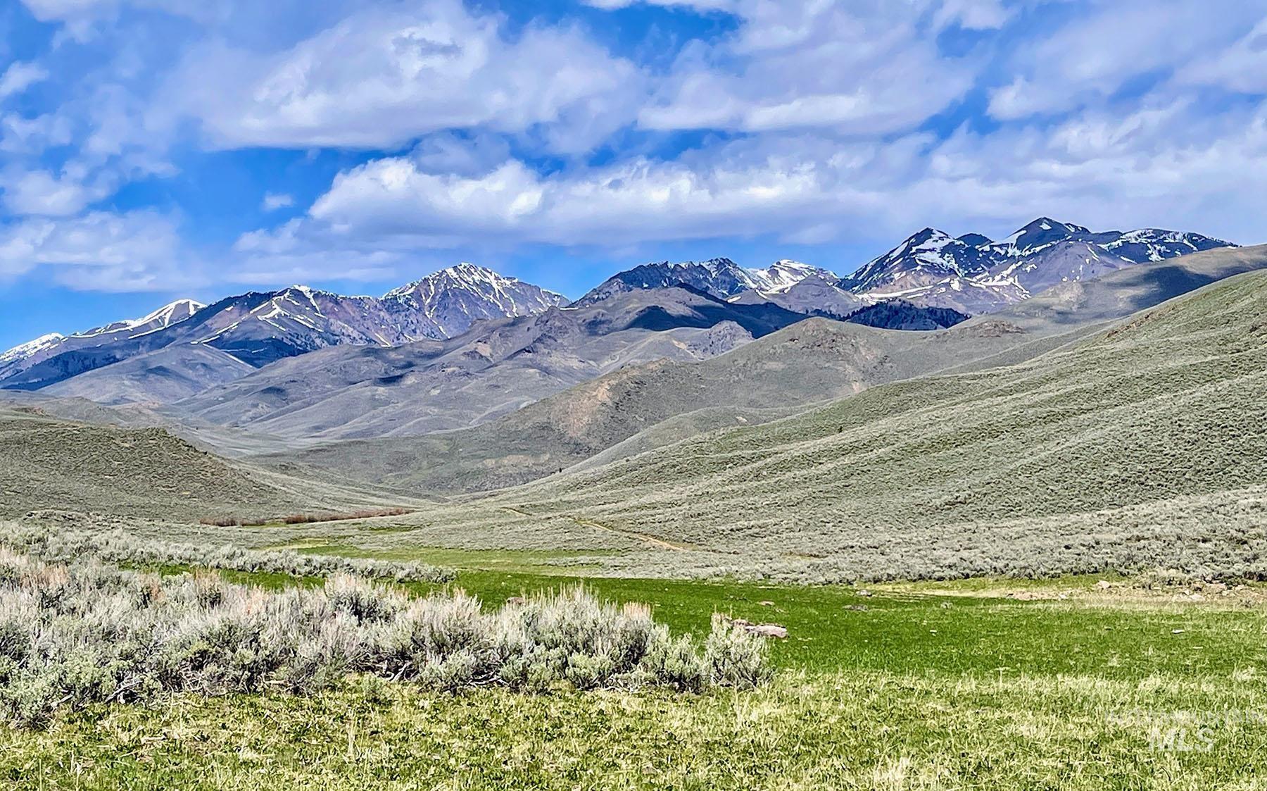 Fish Creek Road, Carey, Idaho 83320-0000, Farm & Ranch For Sale, Price $4,250,000,MLS 98912631