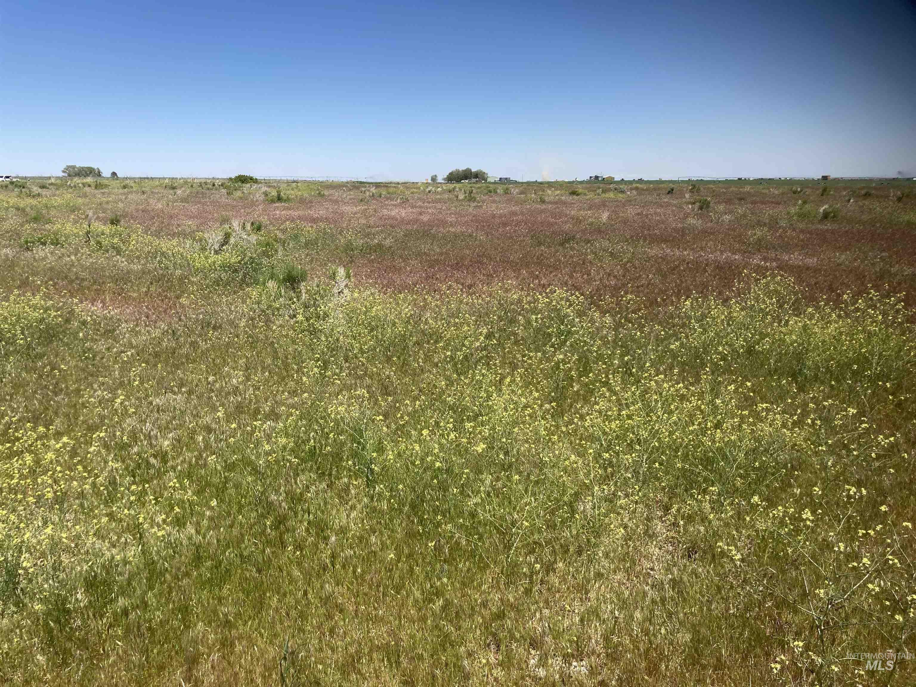 APROX 3050 N 3200 E, Twin Falls, Idaho 83301, Farm & Ranch For Sale, Price $448,000, 98912699