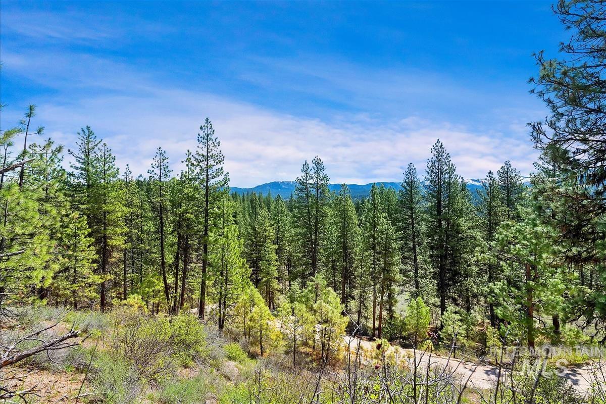 TBD Four Pines Loop, Idaho City, Idaho 83631, Land For Sale, Price $899,000,MLS 98912888