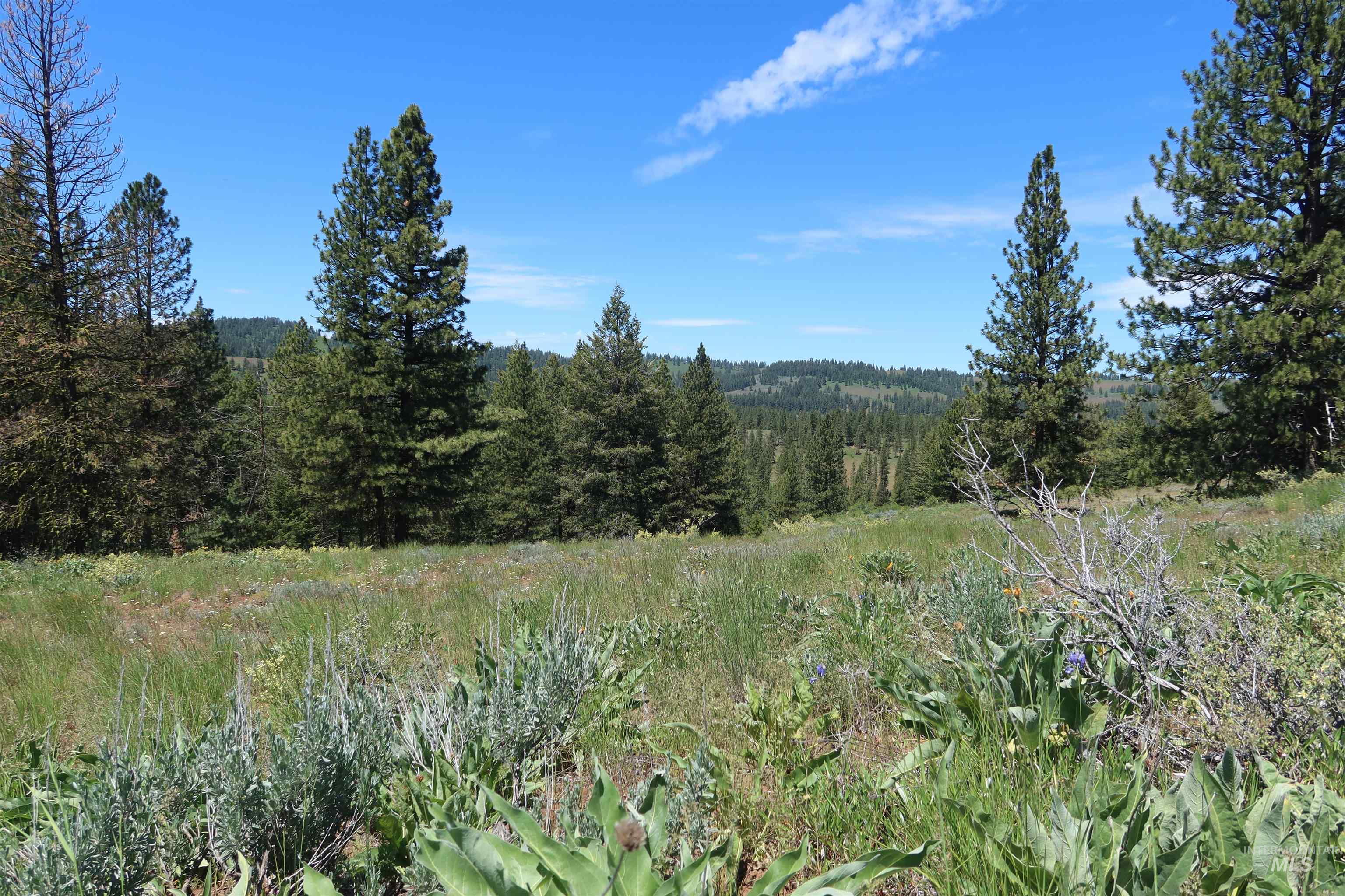 TBD Council Cuprum Rd, Council, Idaho 83612, Land For Sale, Price $429,000, 98912914
