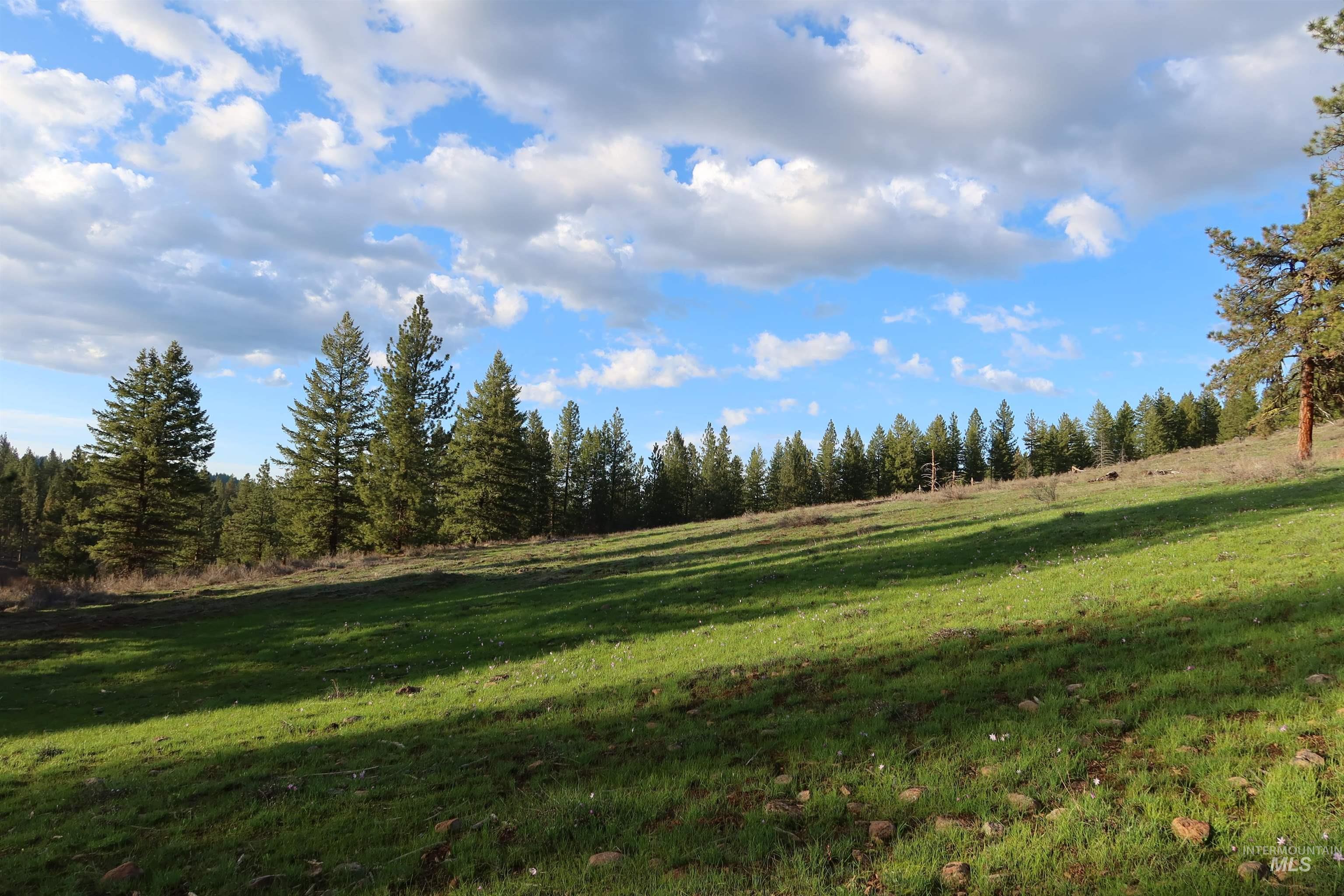 TBD Council Cuprum Rd, Council, Idaho 83612, Land For Sale, Price $429,000, 98912914