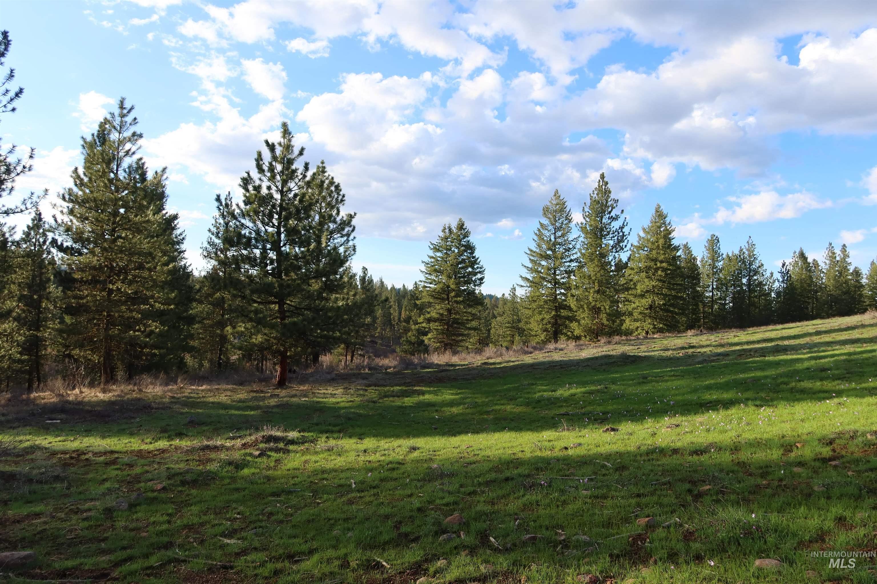 TBD Council Cuprum Rd, Council, Idaho 83612, Land For Sale, Price $429,000, 98912914