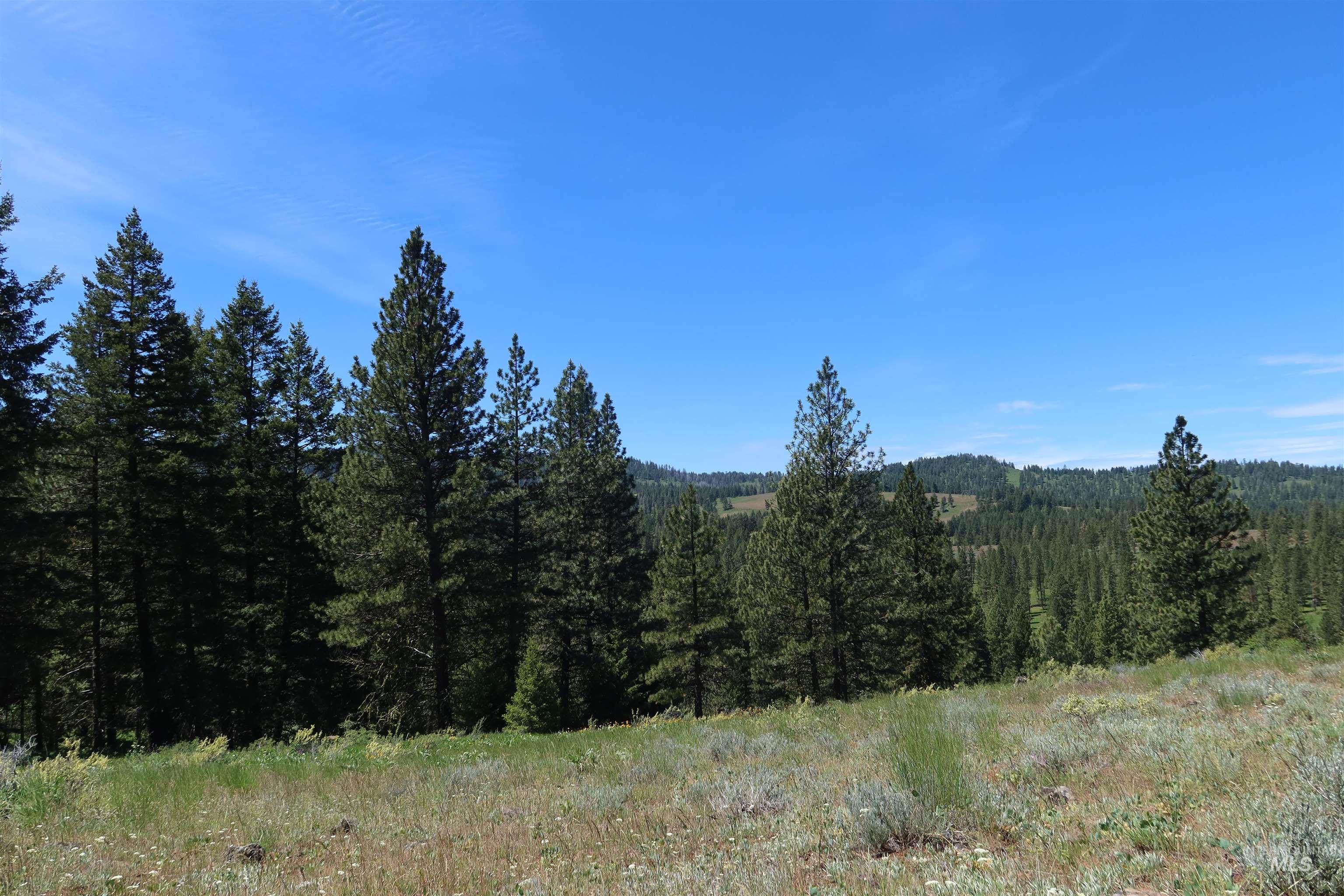 TBD Council Cuprum Rd, Council, Idaho 83612, Land For Sale, Price $429,000, 98912914