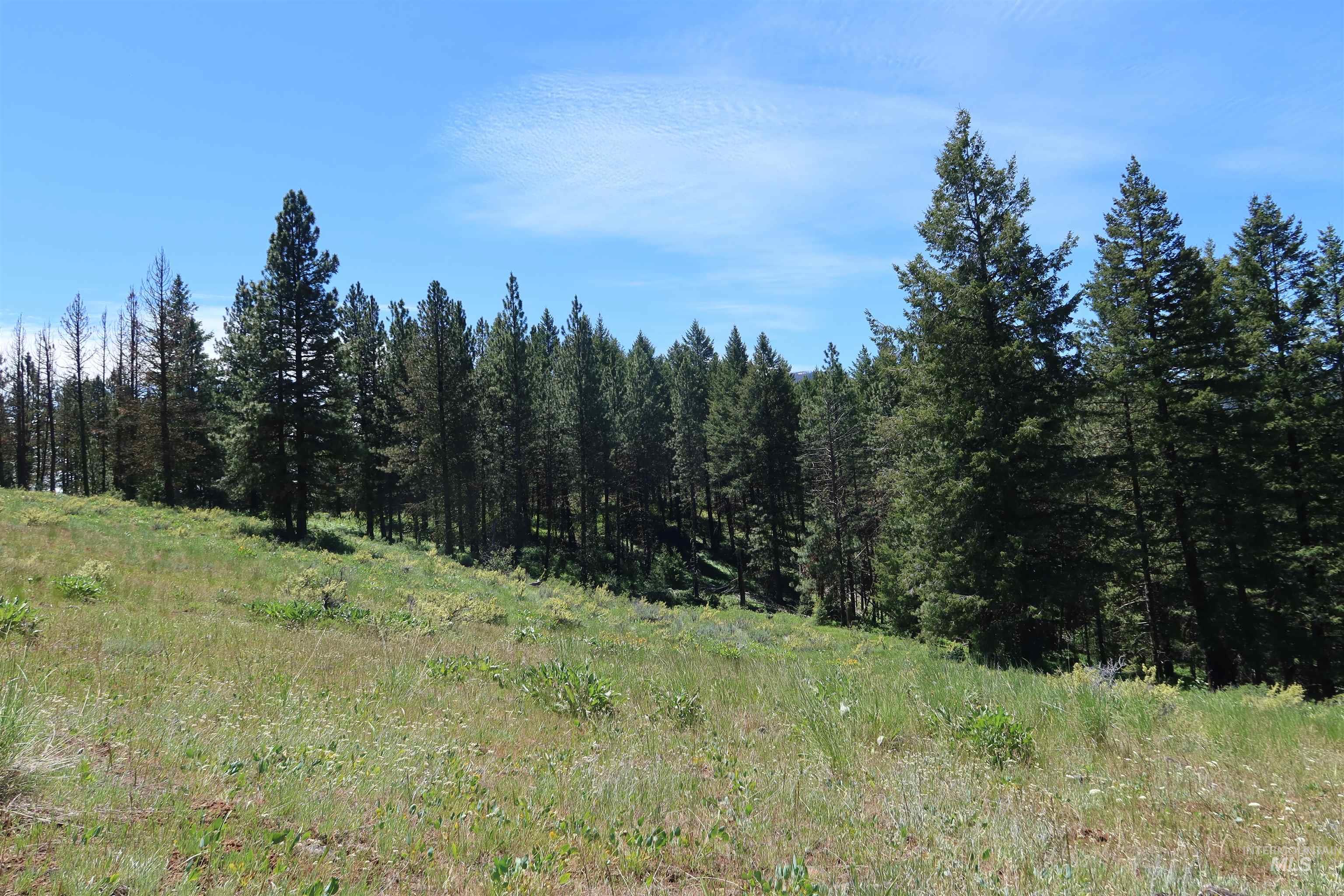 TBD Council Cuprum Rd, Council, Idaho 83612, Land For Sale, Price $429,000, 98912914