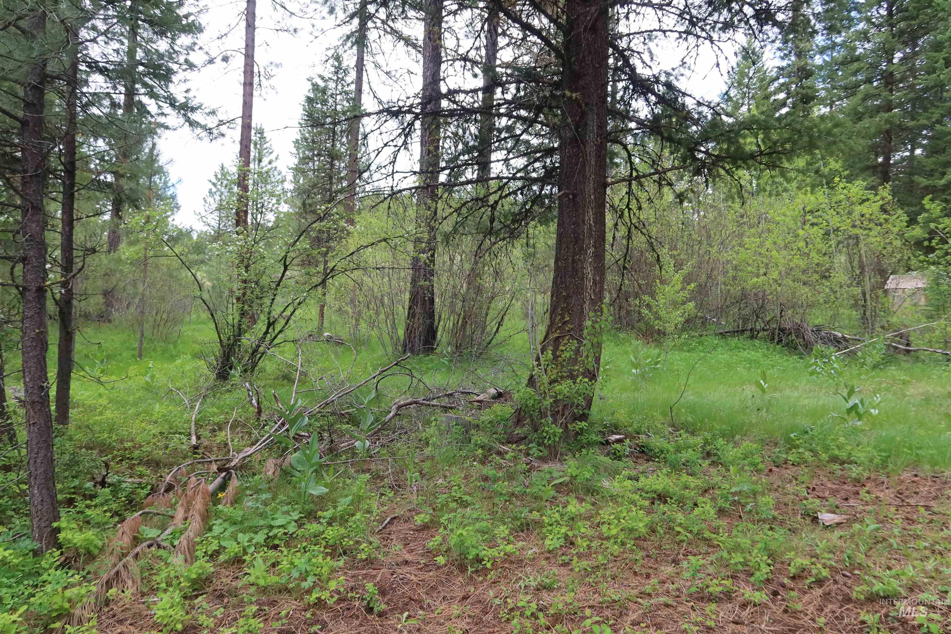 TBD Council Cuprum Rd, Council, Idaho 83612, Land For Sale, Price $429,000, 98912914