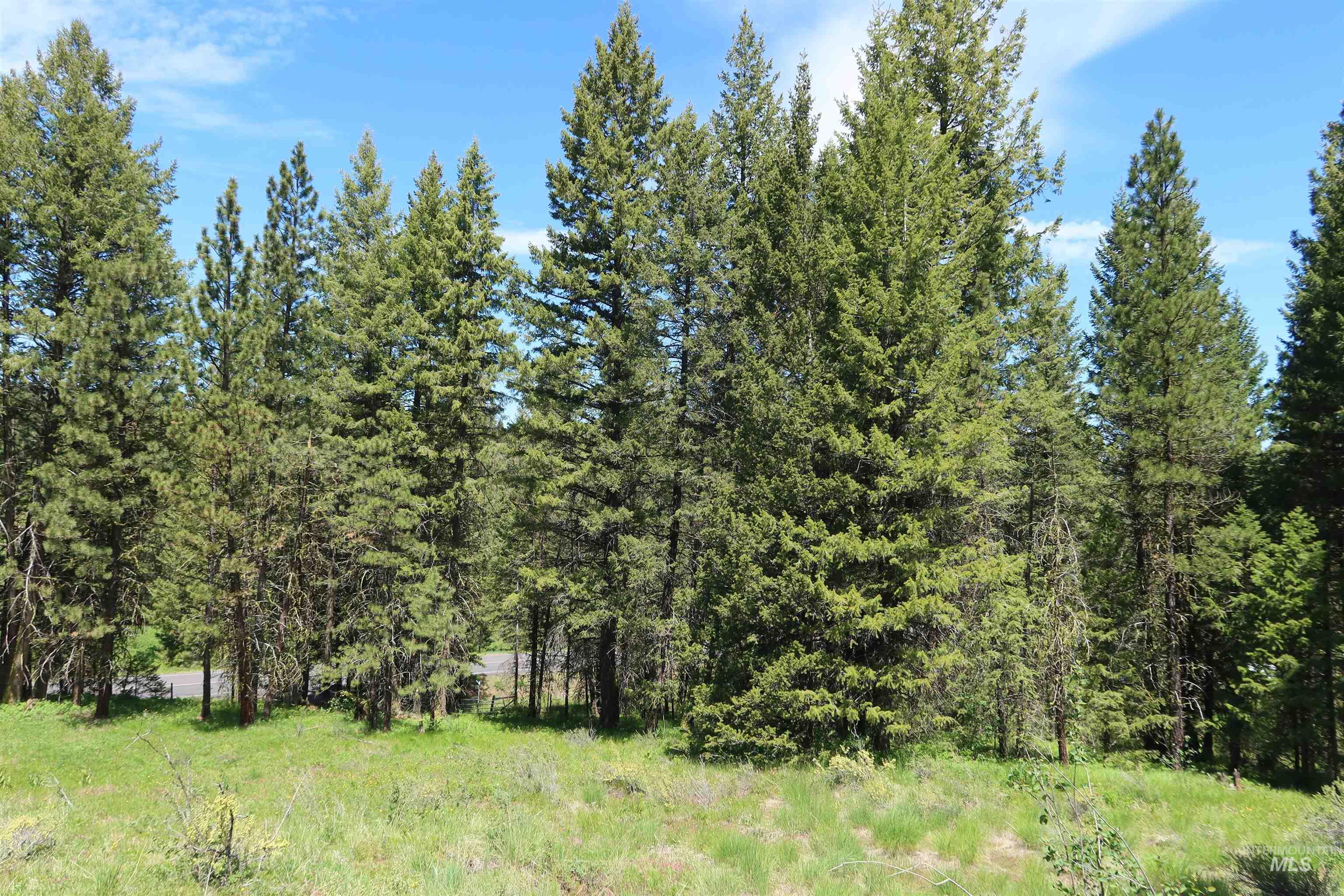 TBD Council Cuprum Rd, Council, Idaho 83612, Land For Sale, Price $429,000, 98912914
