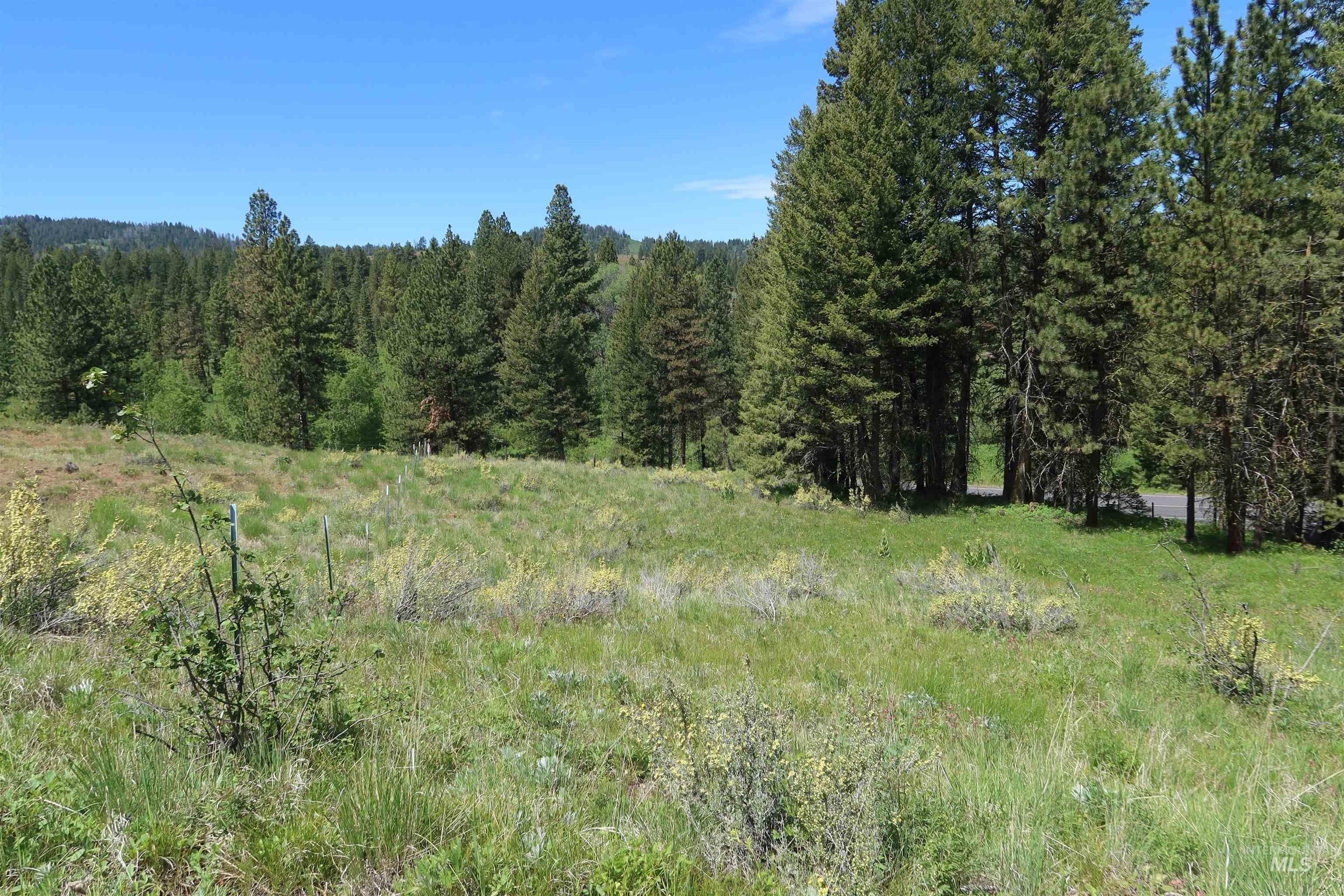 TBD Council Cuprum Rd, Council, Idaho 83612, Land For Sale, Price $429,000, 98912914