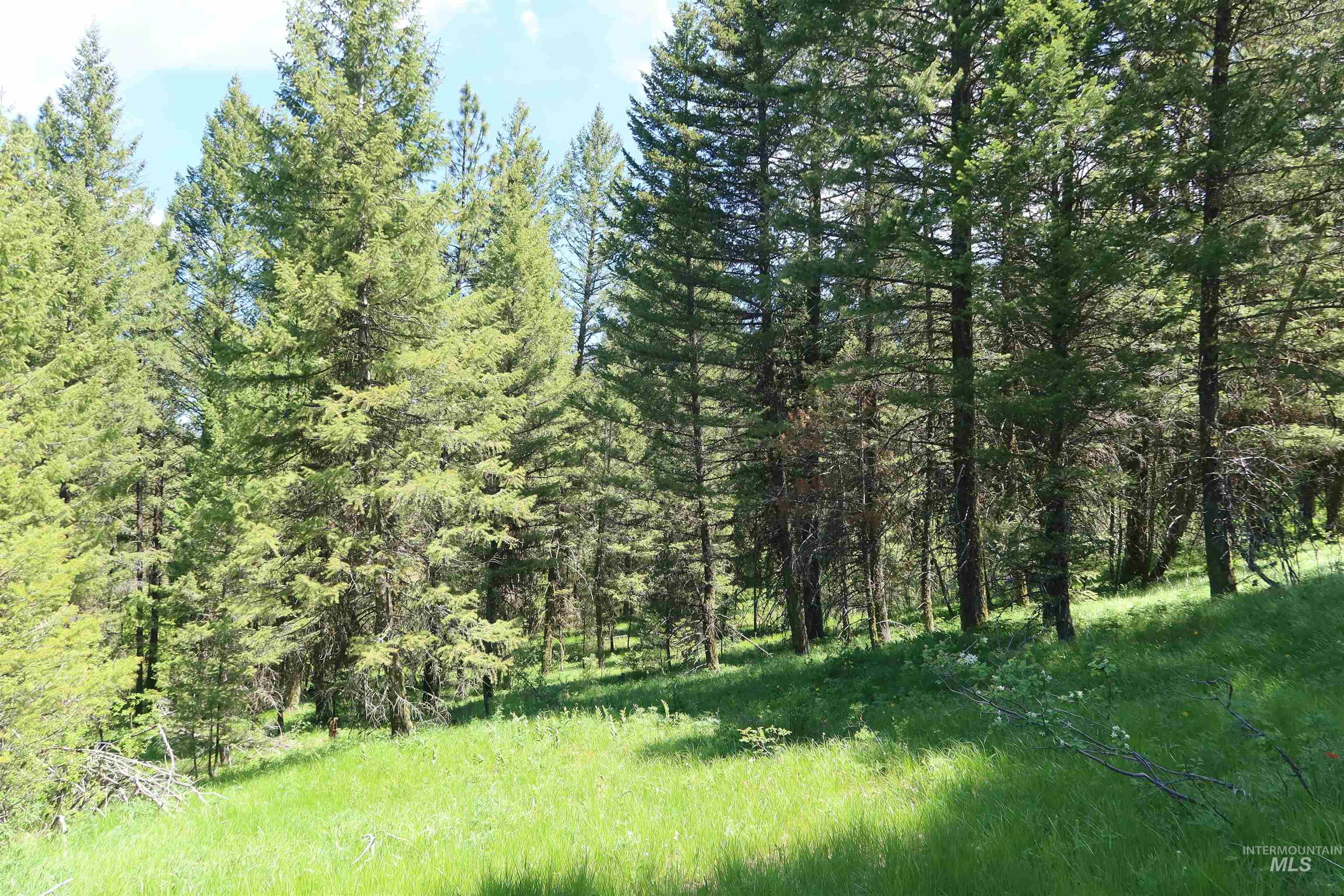 TBD Council Cuprum Rd, Council, Idaho 83612, Land For Sale, Price $429,000, 98912914