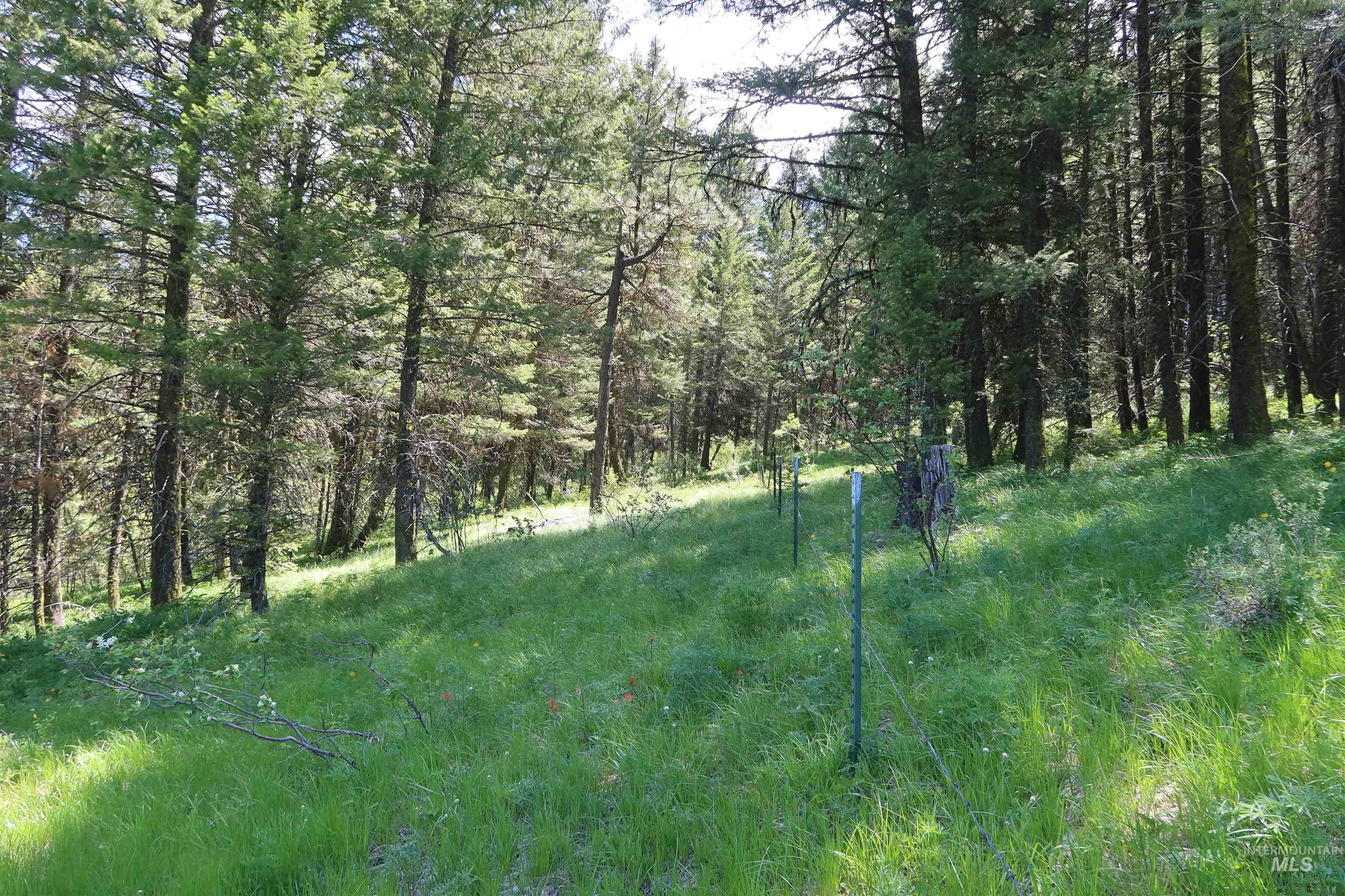 TBD Council Cuprum Rd, Council, Idaho 83612, Land For Sale, Price $429,000, 98912914