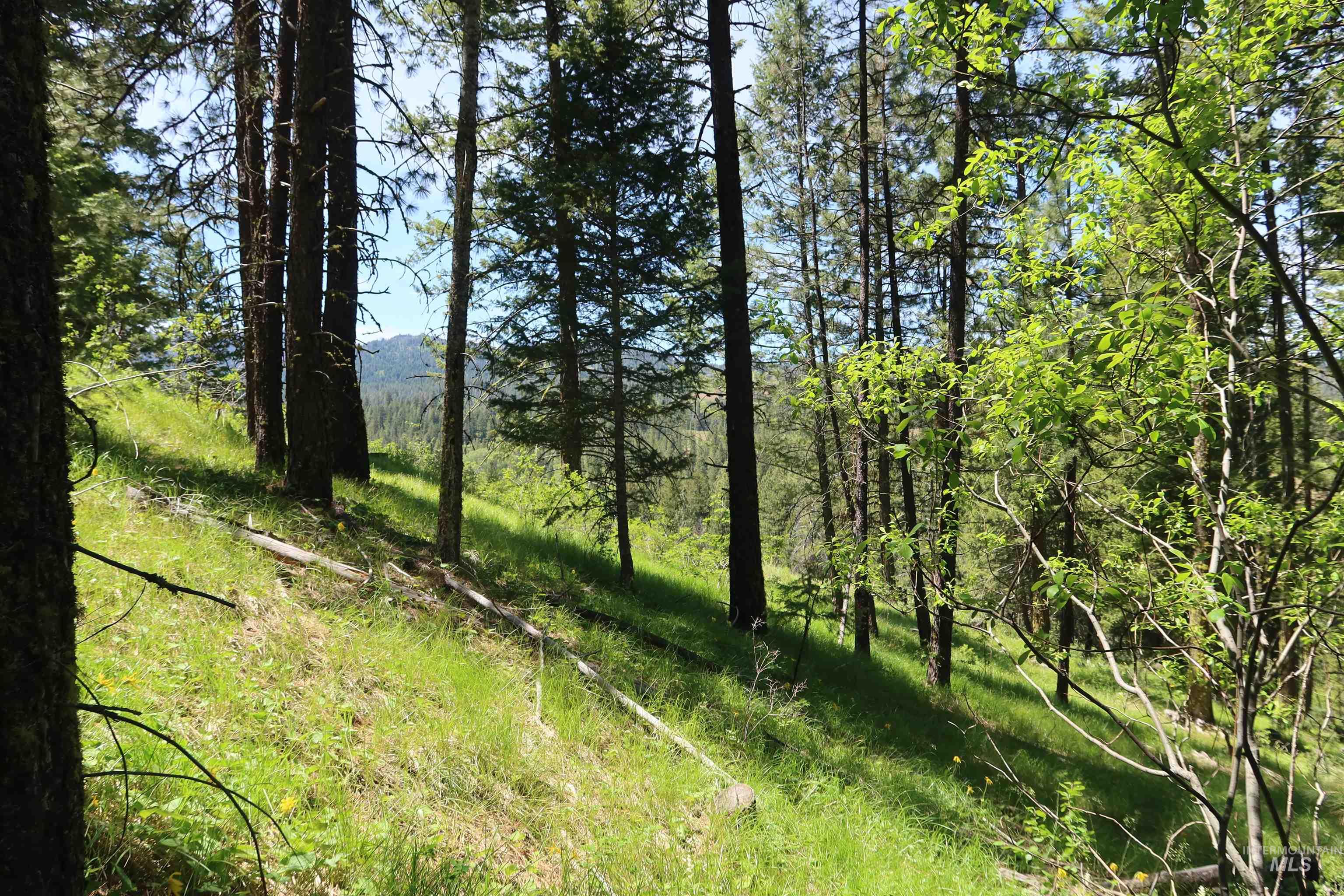 TBD Council Cuprum Rd, Council, Idaho 83612, Land For Sale, Price $429,000, 98912914