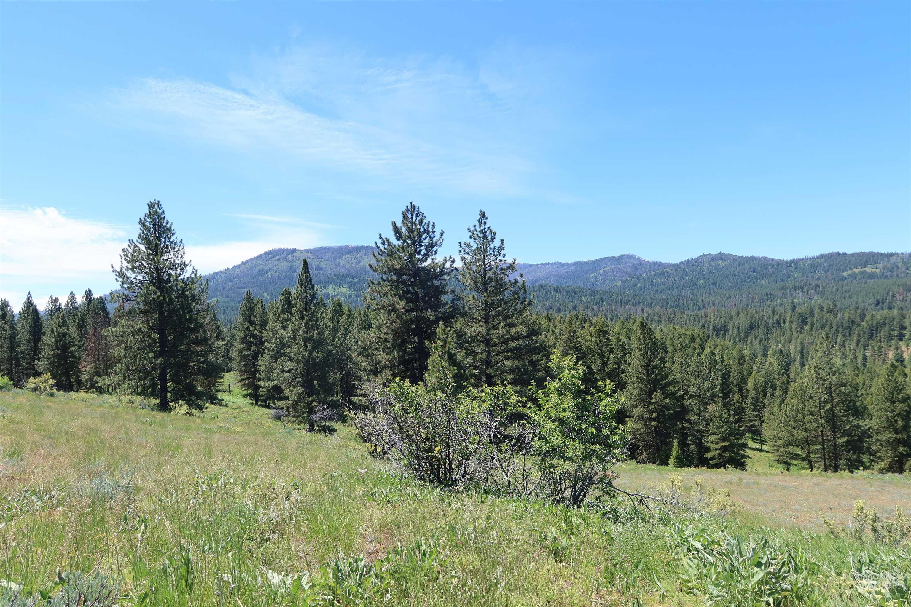 TBD Council Cuprum Rd, Council, Idaho 83612, Land For Sale, Price $429,000, 98912914