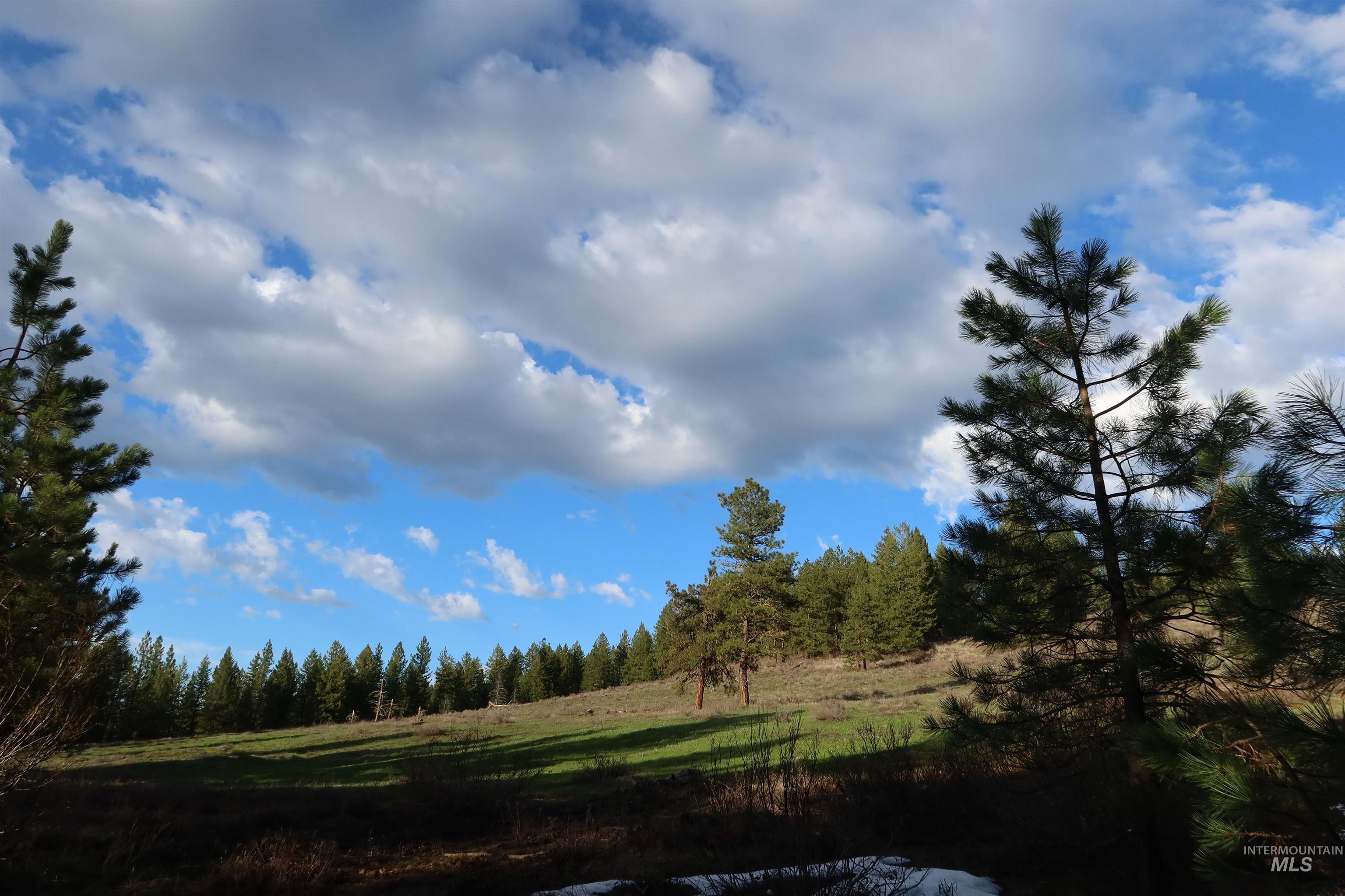 TBD Council Cuprum Rd, Council, Idaho 83612, Land For Sale, Price $429,000, 98912914