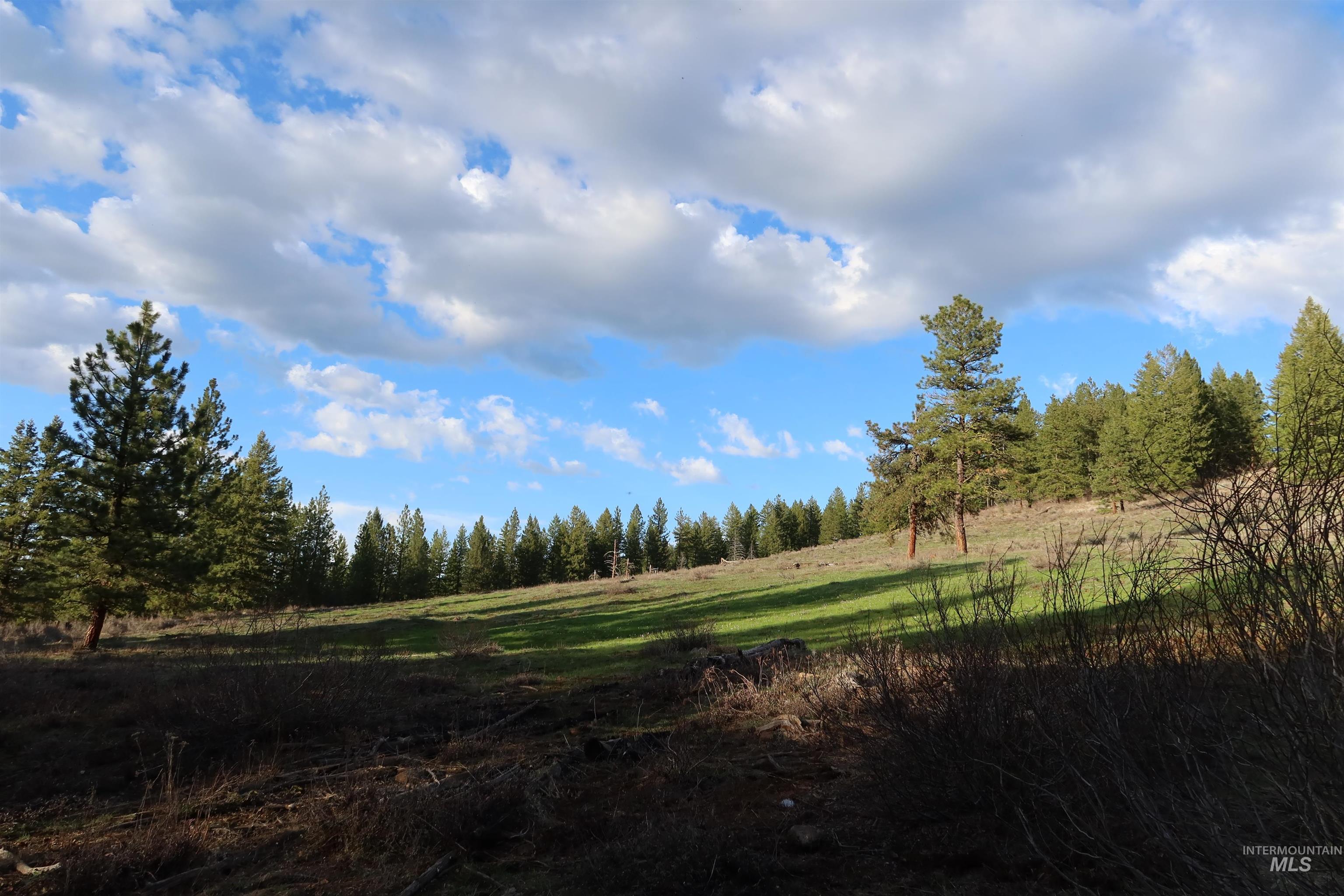 TBD Council Cuprum Rd, Council, Idaho 83612, Land For Sale, Price $429,000, 98912914