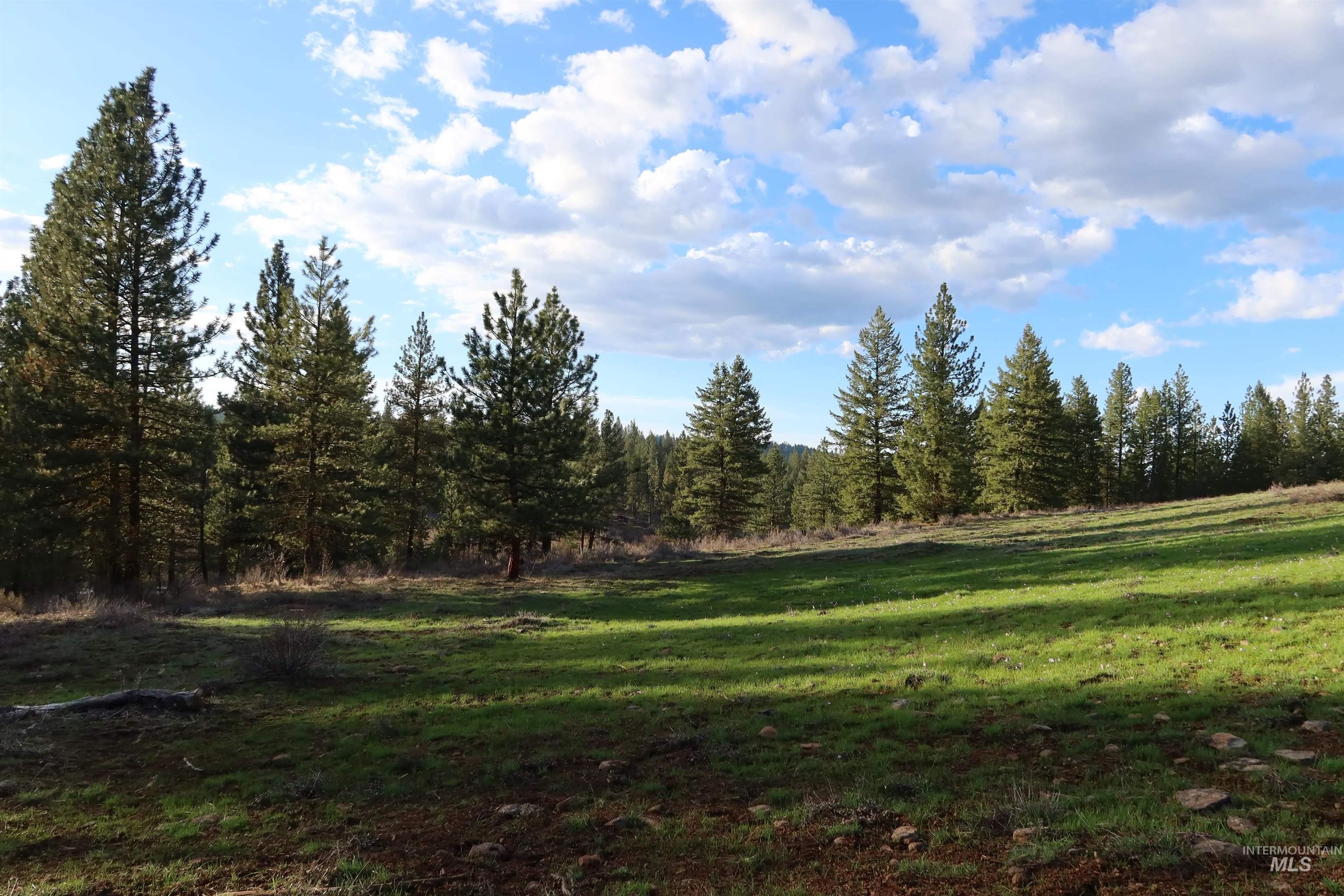 TBD Council Cuprum Rd, Council, Idaho 83612, Land For Sale, Price $429,000, 98912914