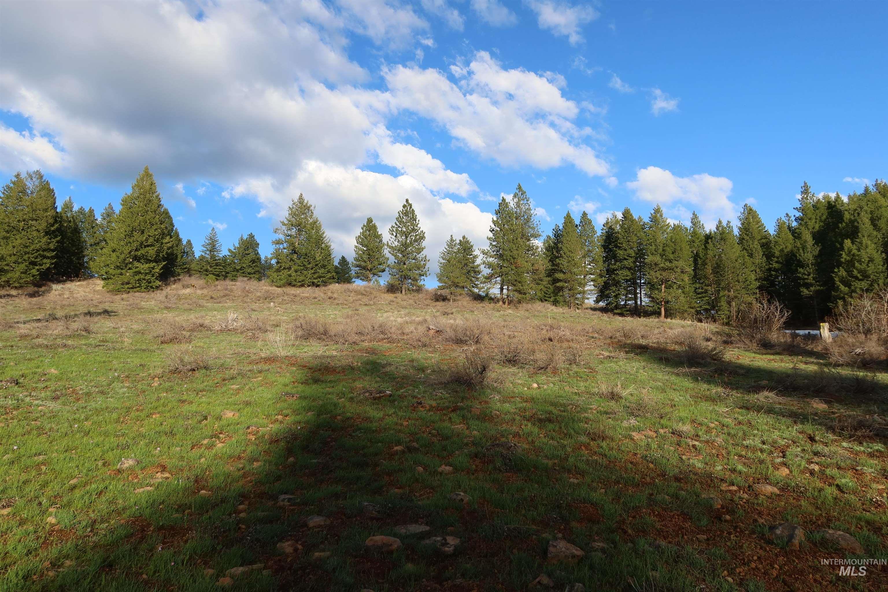 TBD Council Cuprum Rd, Council, Idaho 83612, Land For Sale, Price $429,000, 98912914