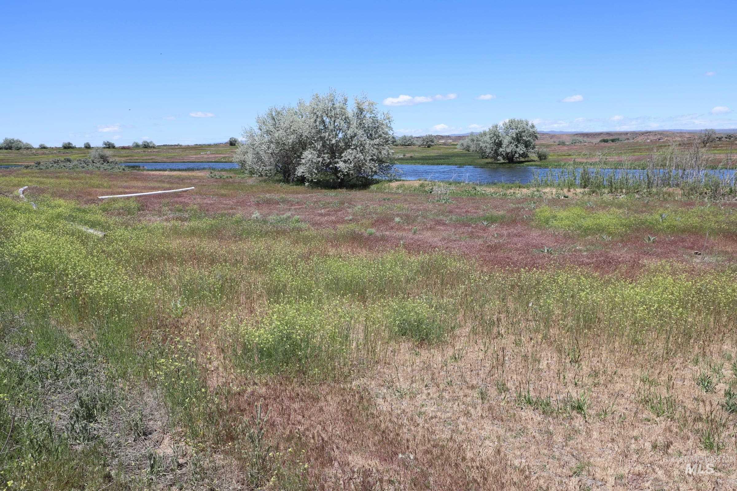 22 West 420 North, Shoshone, Idaho 83352, 3 Bedrooms, 1.5 Bathrooms, Farm & Ranch For Sale, Price $1,437,500, 98912955