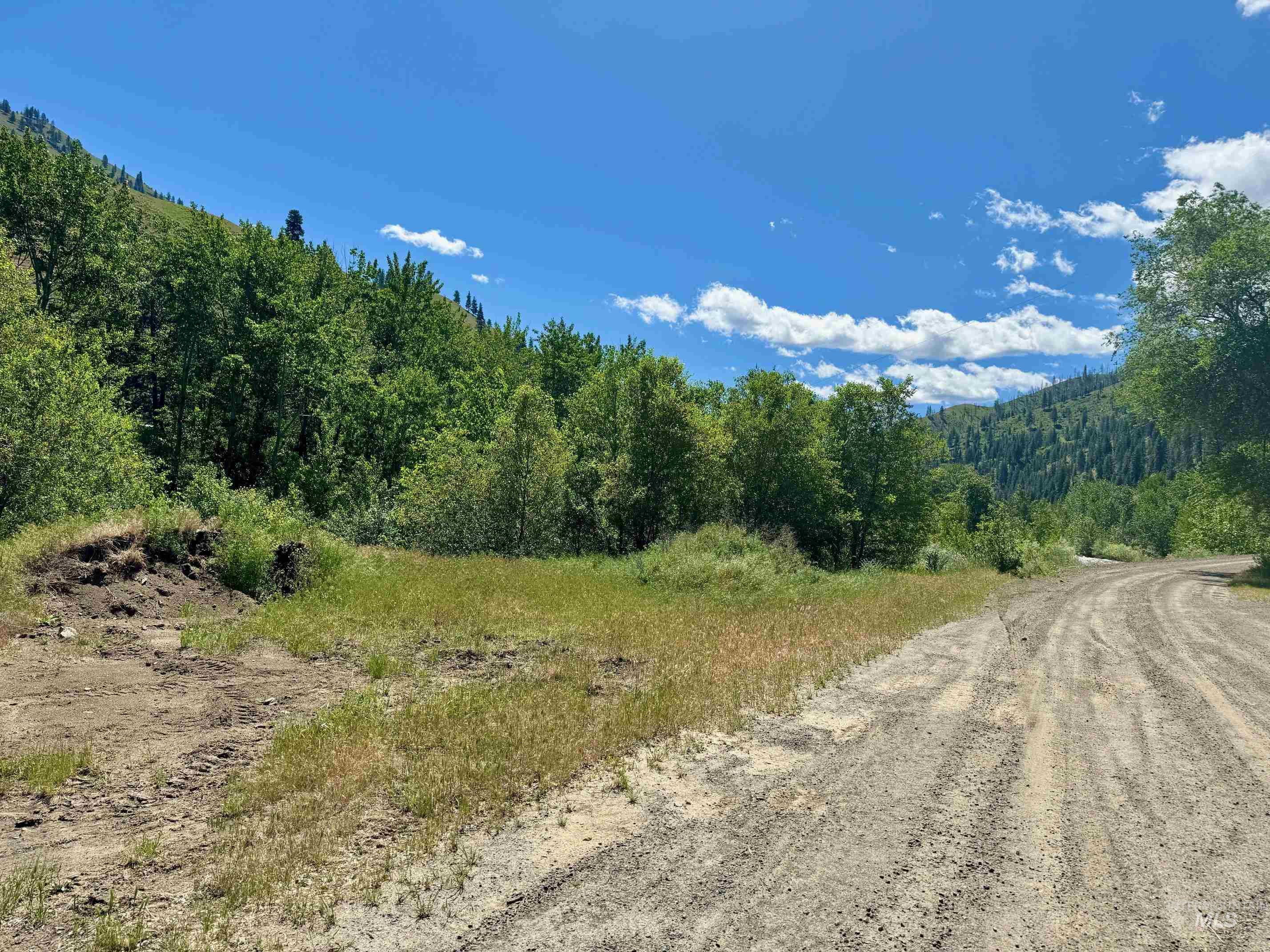 115 Helm Lane, Pollock, Idaho 83547, Land For Sale, Price $350,000, 98912992