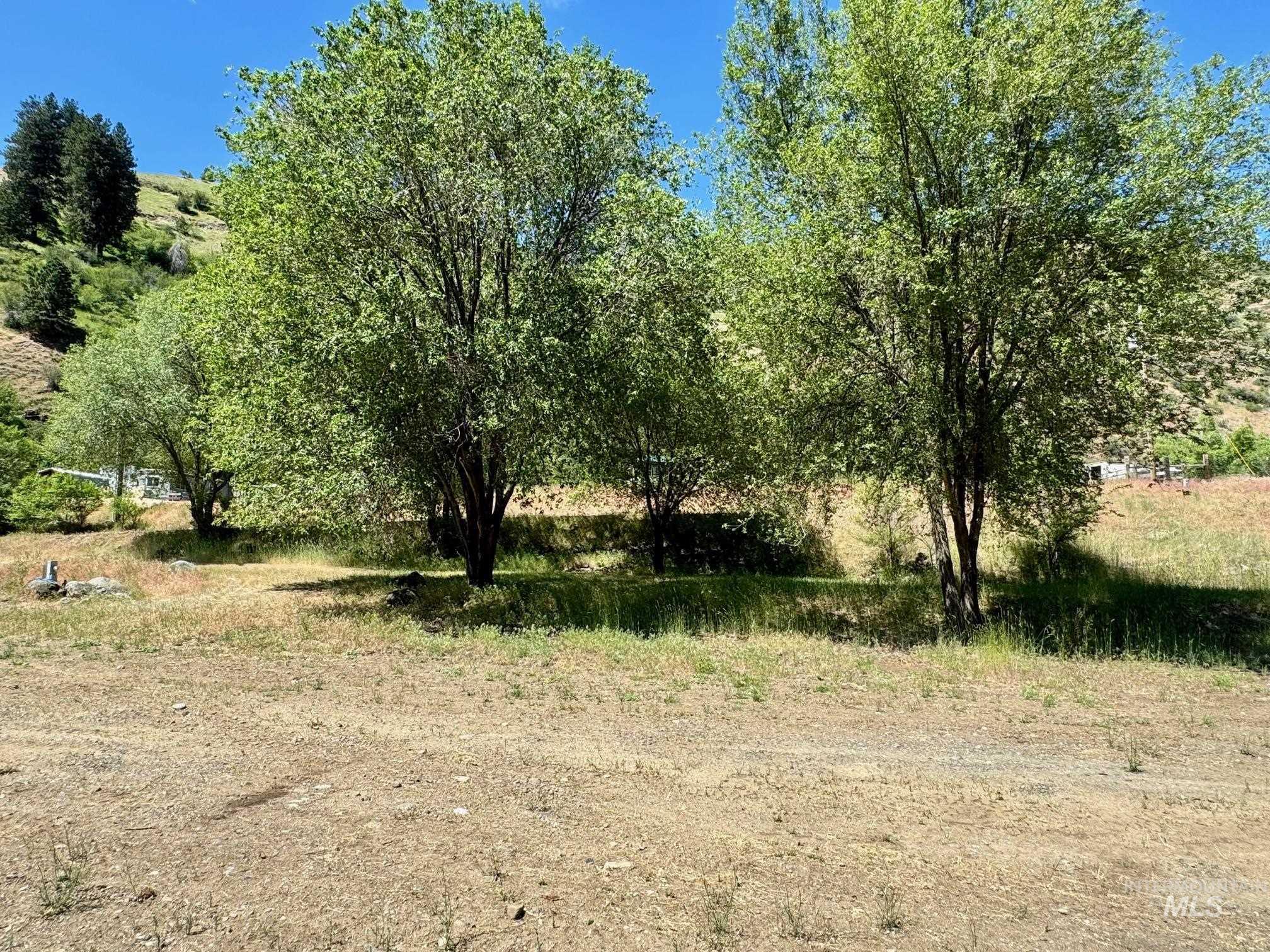 115 Helm Lane, Pollock, Idaho 83547, Land For Sale, Price $350,000, 98912992