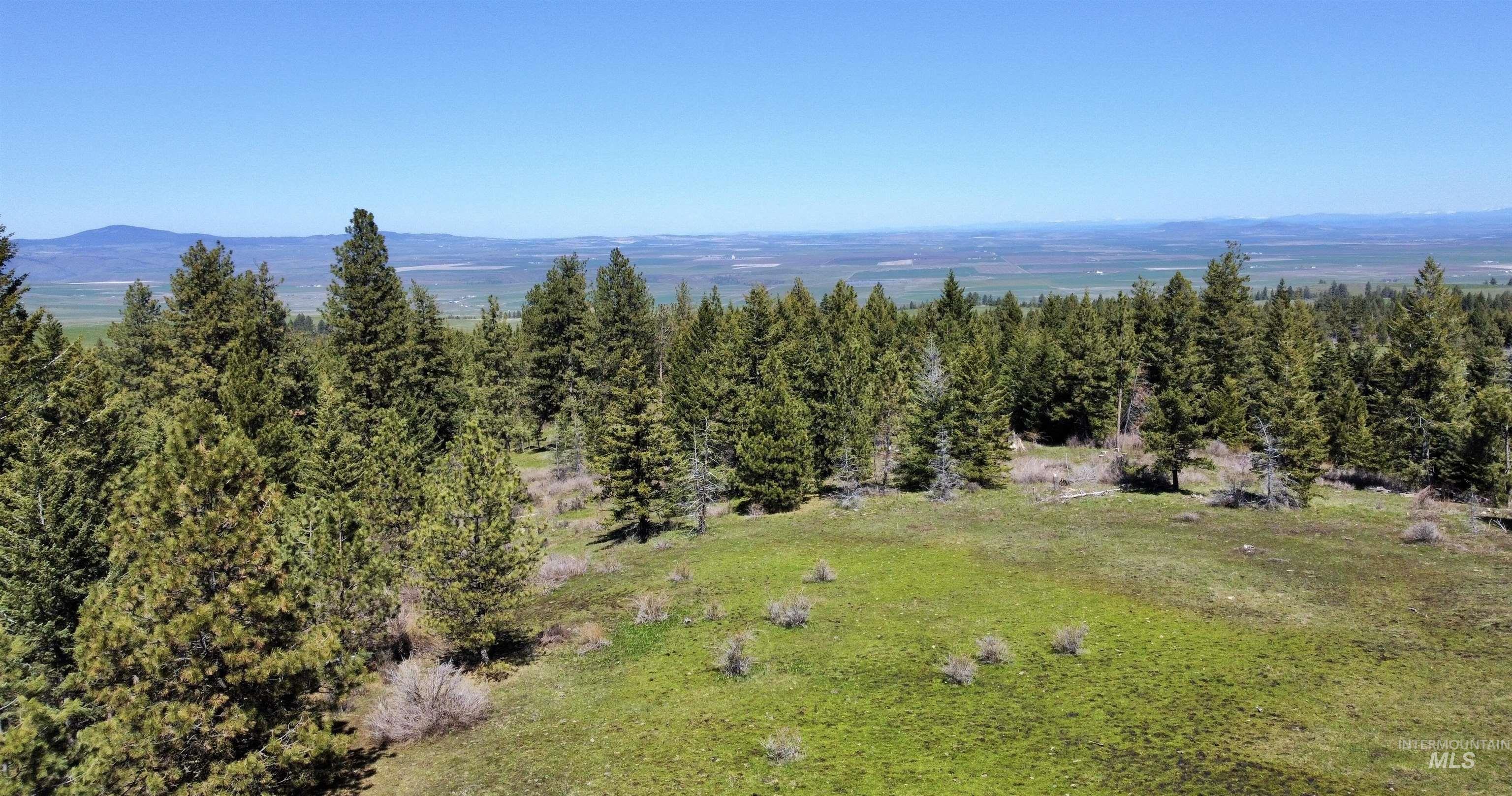 TBD 2138 P 2 Old White Bird Hill RD, Grangeville, Idaho 83530, Land For Sale, Price $200,000, 98913033