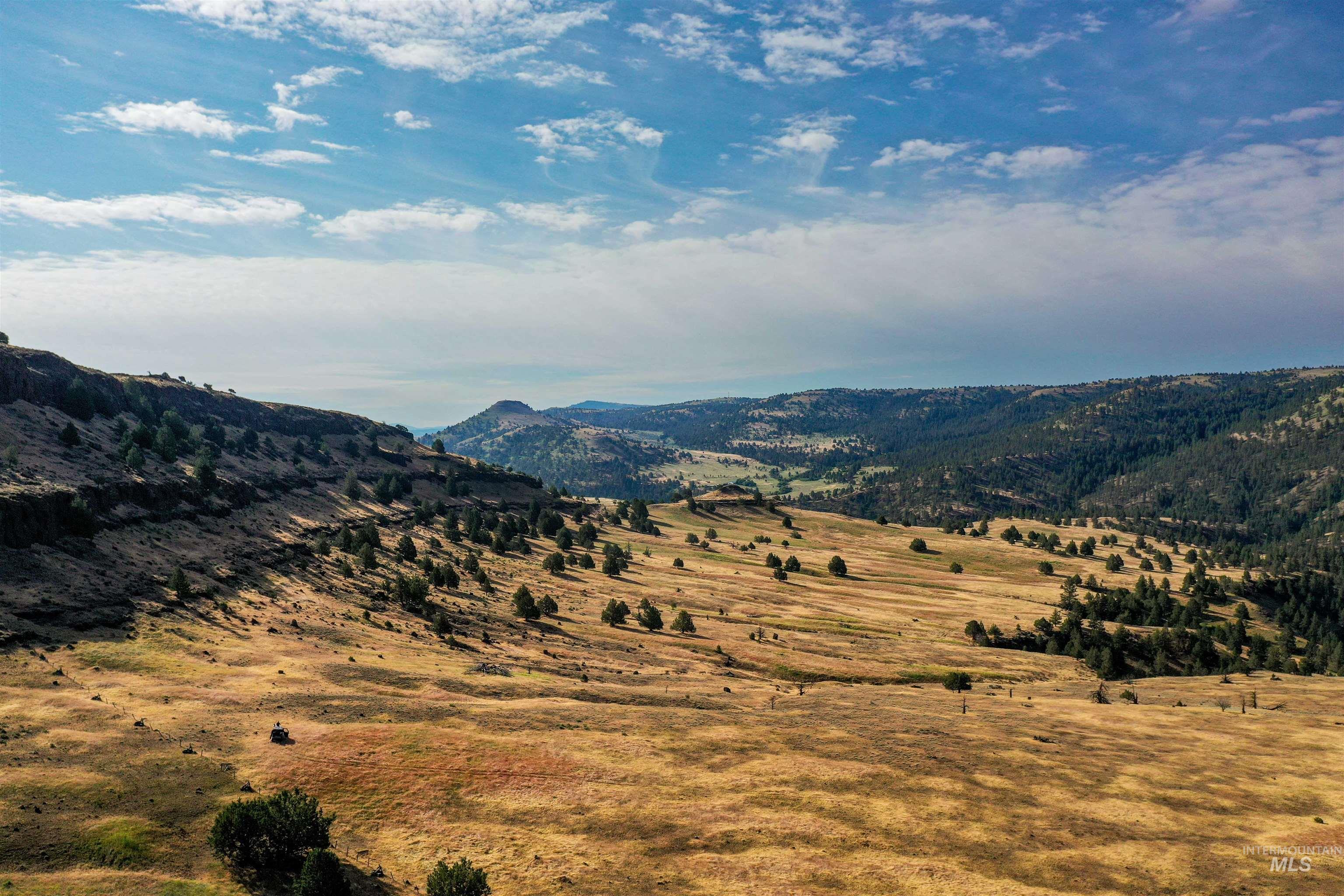 40035 Ritter Rd, Outside City Limits, Oregon 97856, Land For Sale, Price $2,400,000,MLS 98913069