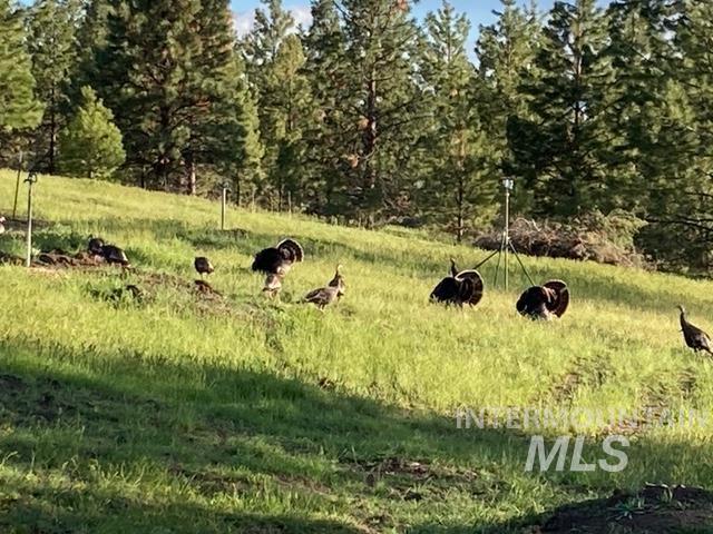 40035 Ritter Rd, Outside City Limits, Oregon 97856, Land For Sale, Price $2,400,000,MLS 98913069