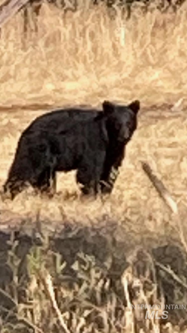 40035 Ritter Rd, Outside City Limits, Oregon 97856, Land For Sale, Price $2,400,000,MLS 98913069