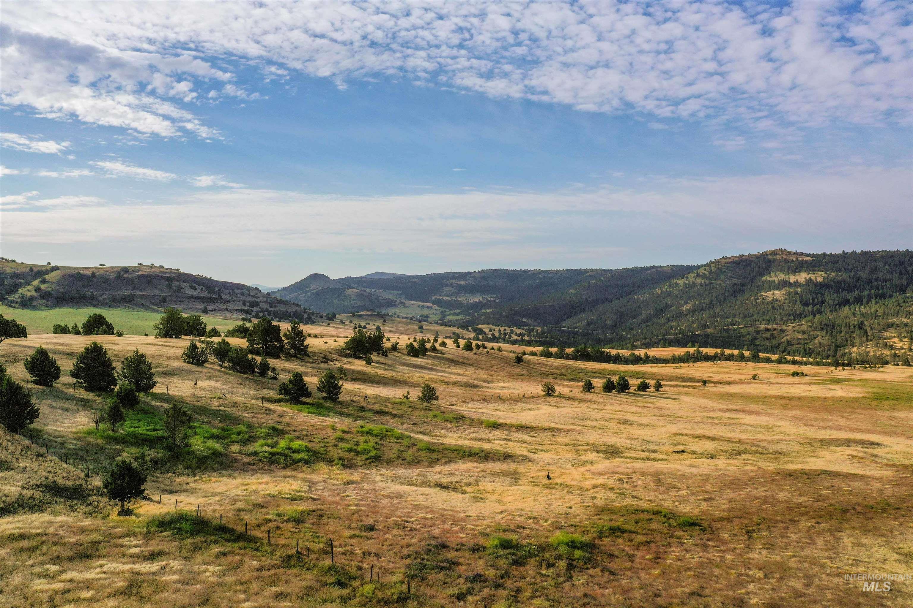 40035 Ritter Rd, Outside City Limits, Oregon 97856, Land For Sale, Price $2,400,000,MLS 98913069